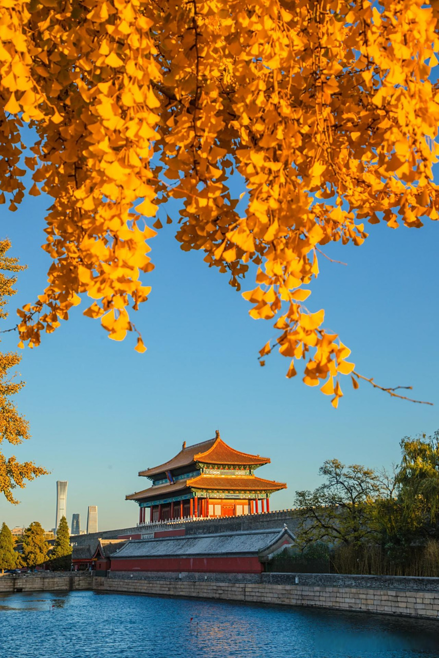 紫禁之巅助力北京中轴线申遗!