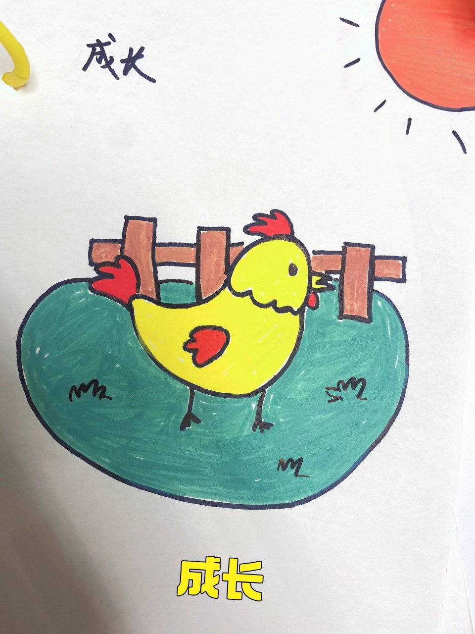 小鸡成长记,幼儿园的自制手绘本作业