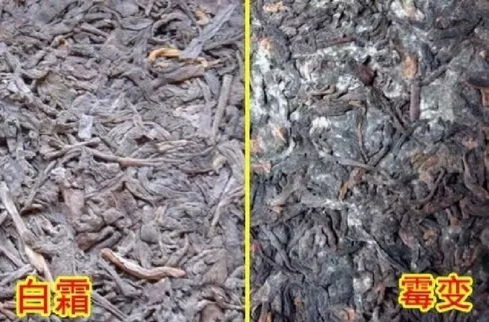 普洱茶饼上的"白霜"是什么,是茶饼发霉了 (1)是茶叶储存过程中发生的