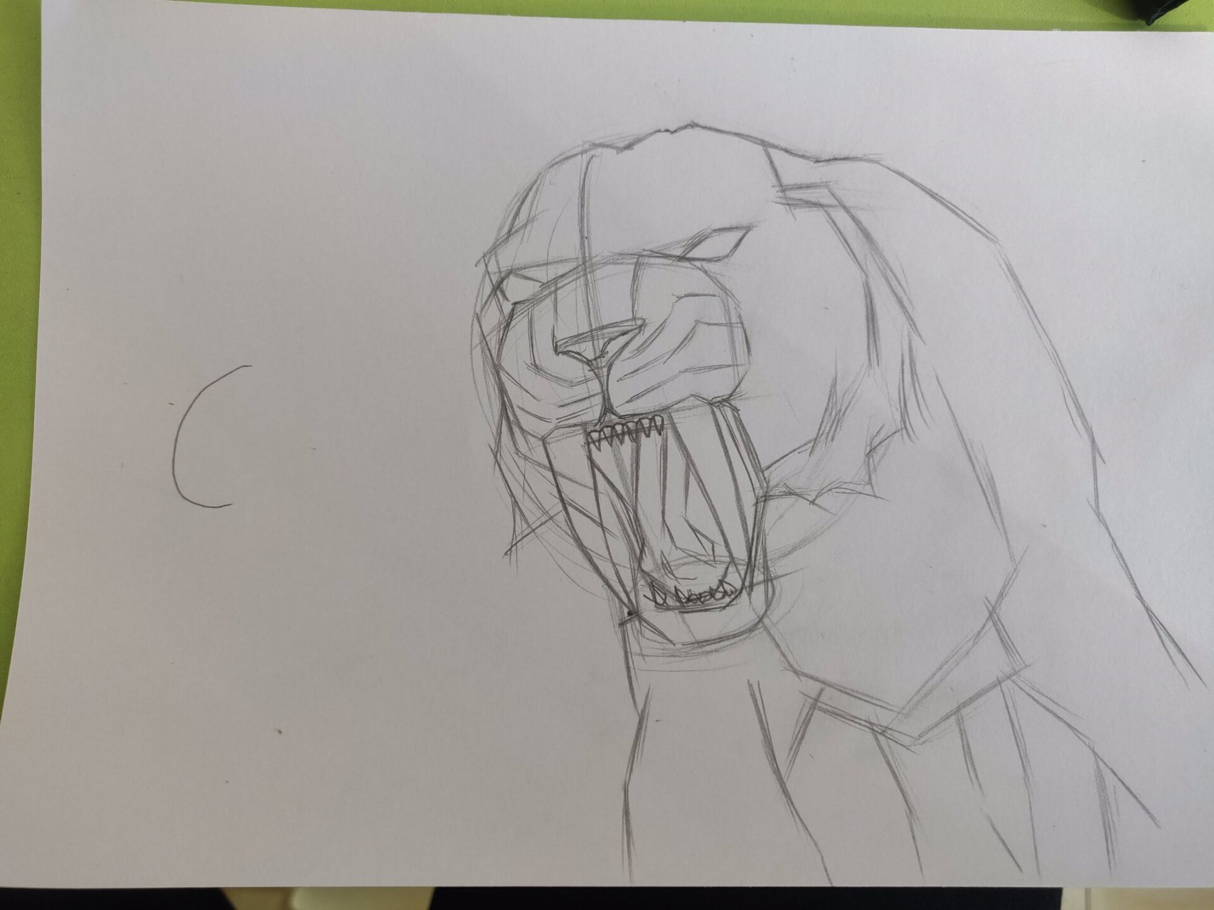 结构素描练习,史前巨兽剑齿虎