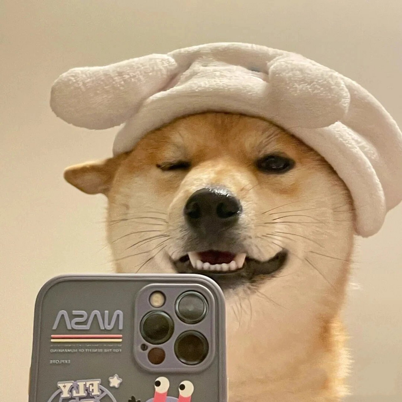 帅狗98头像 狗狗98头像 礼貌拿图 谢谢