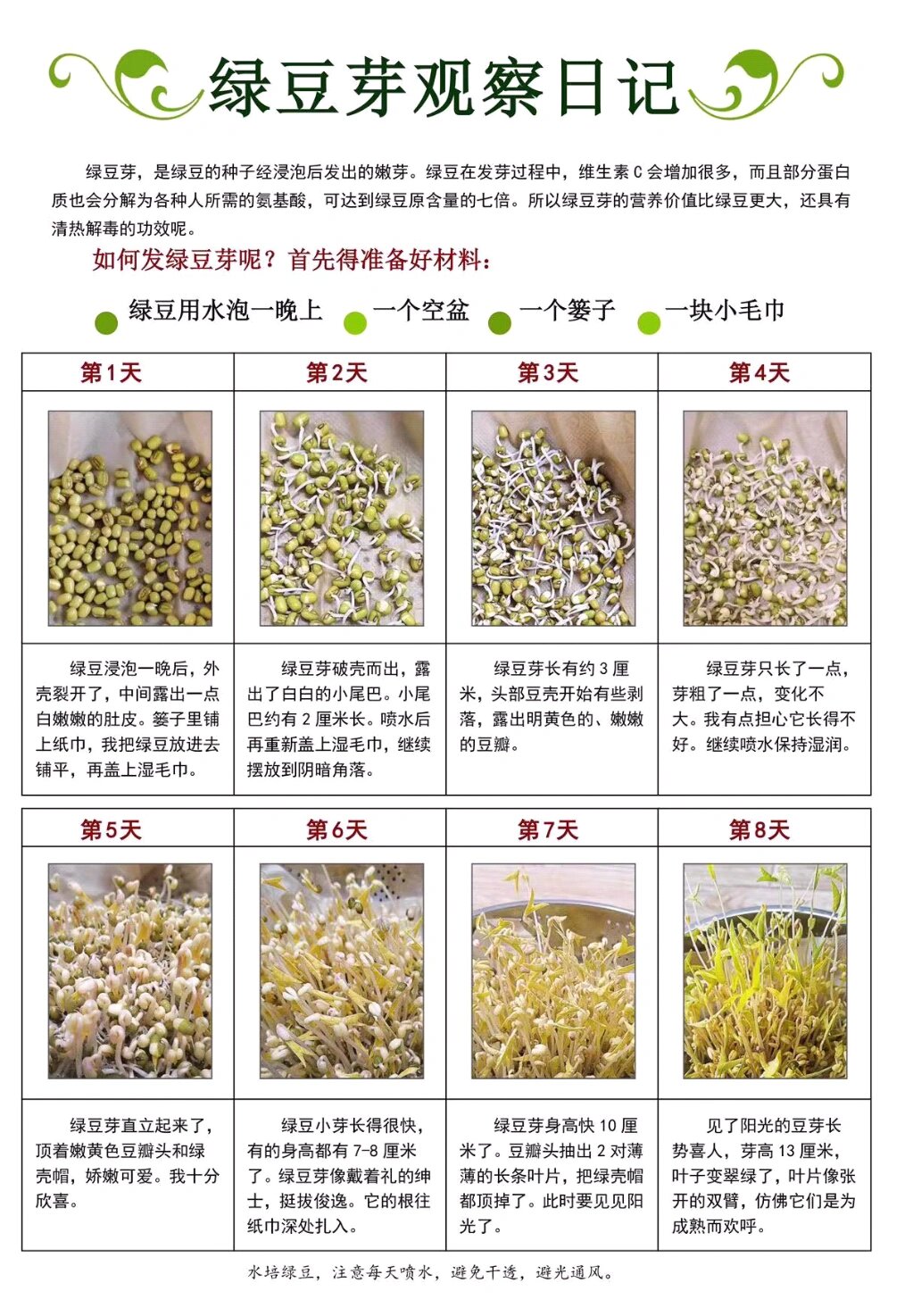 四年级绿豆芽观察日记 四年级绿豆芽观察日记