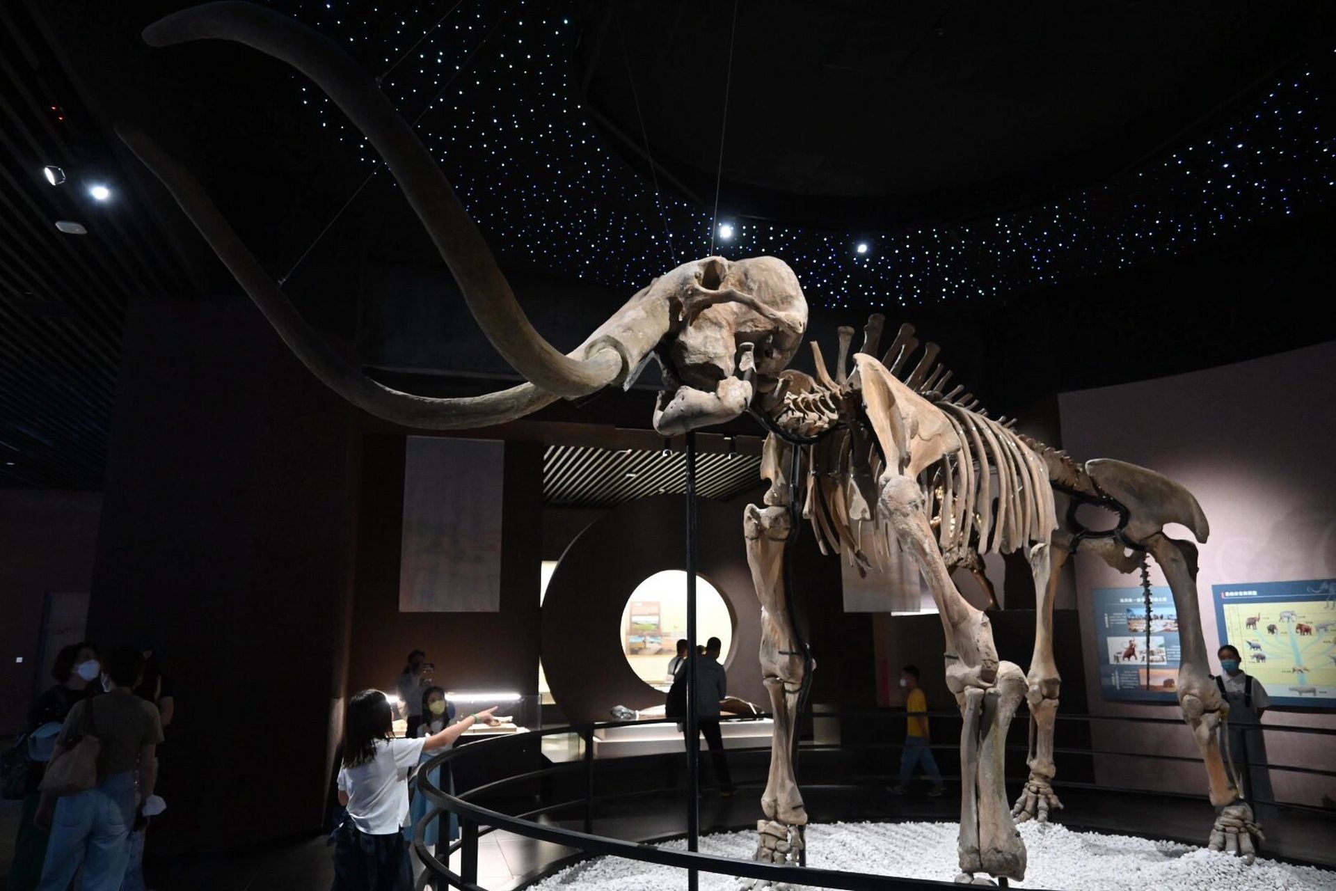 呼伦贝尔历史博物馆    呼伦贝尔历史博物馆很有意思,虽然目前仅有两