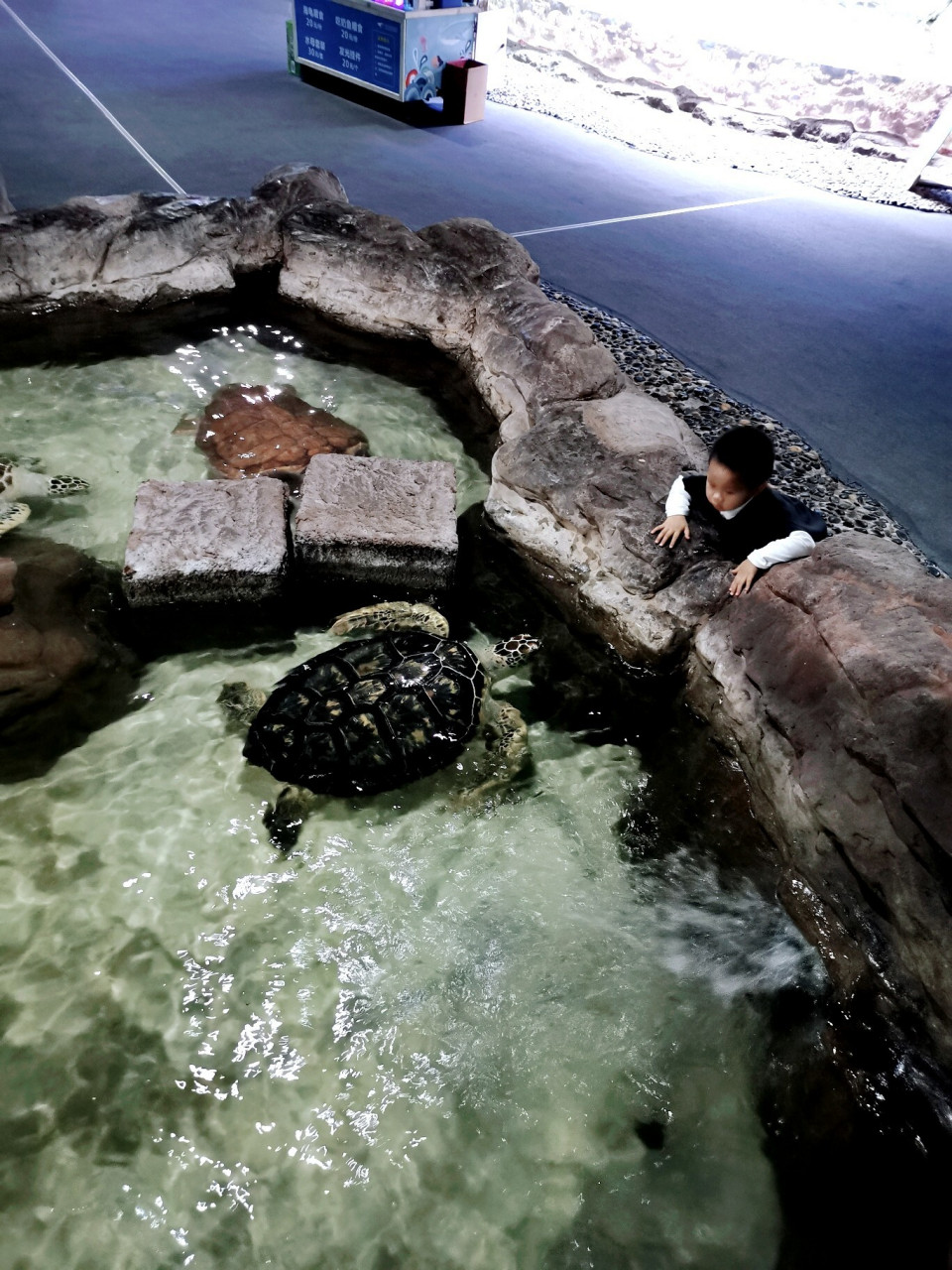 杭州海底乐园图片