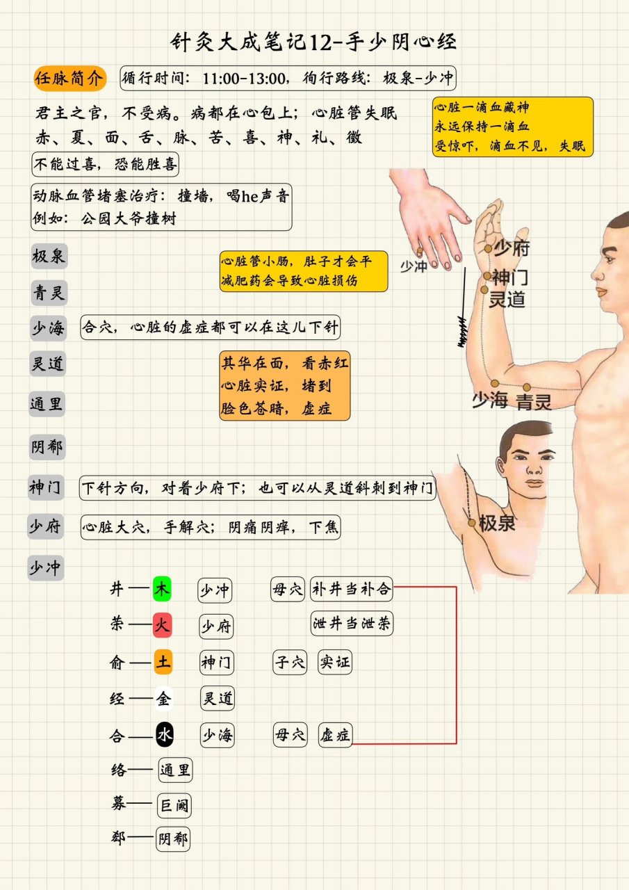 心经走向经络图图片