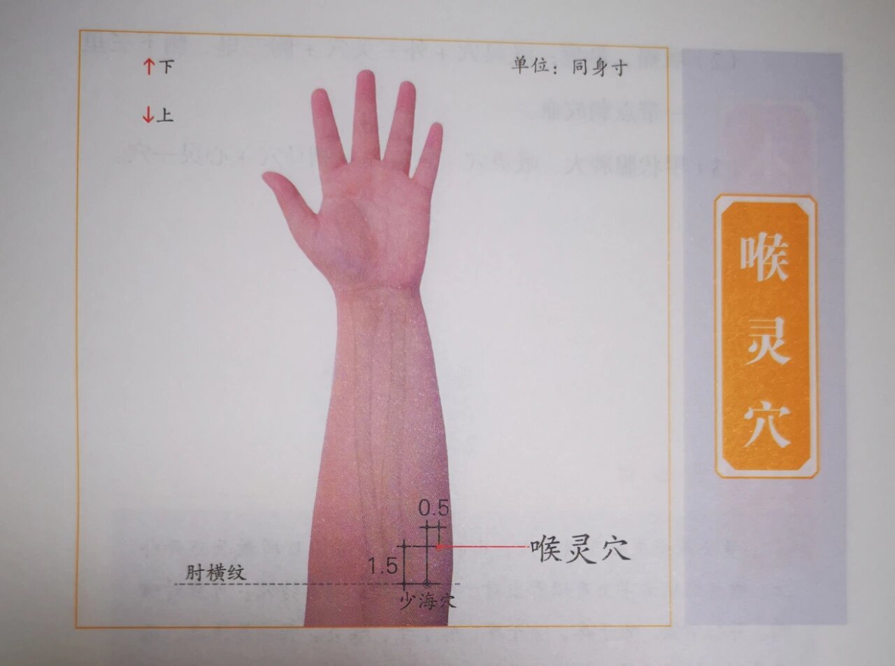 董氏奇穴～～喉灵穴