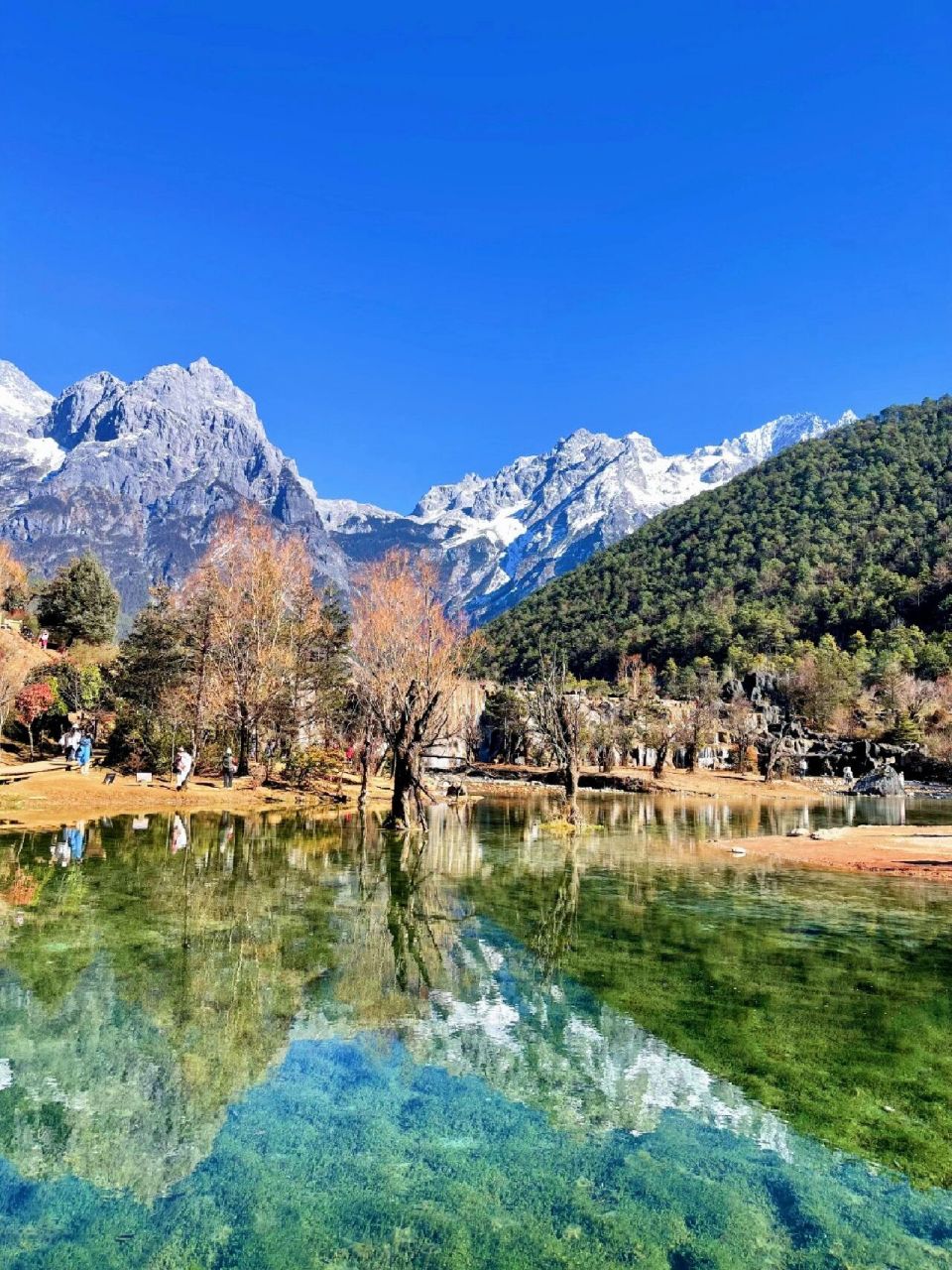 云南旅游|昆大丽6天1.