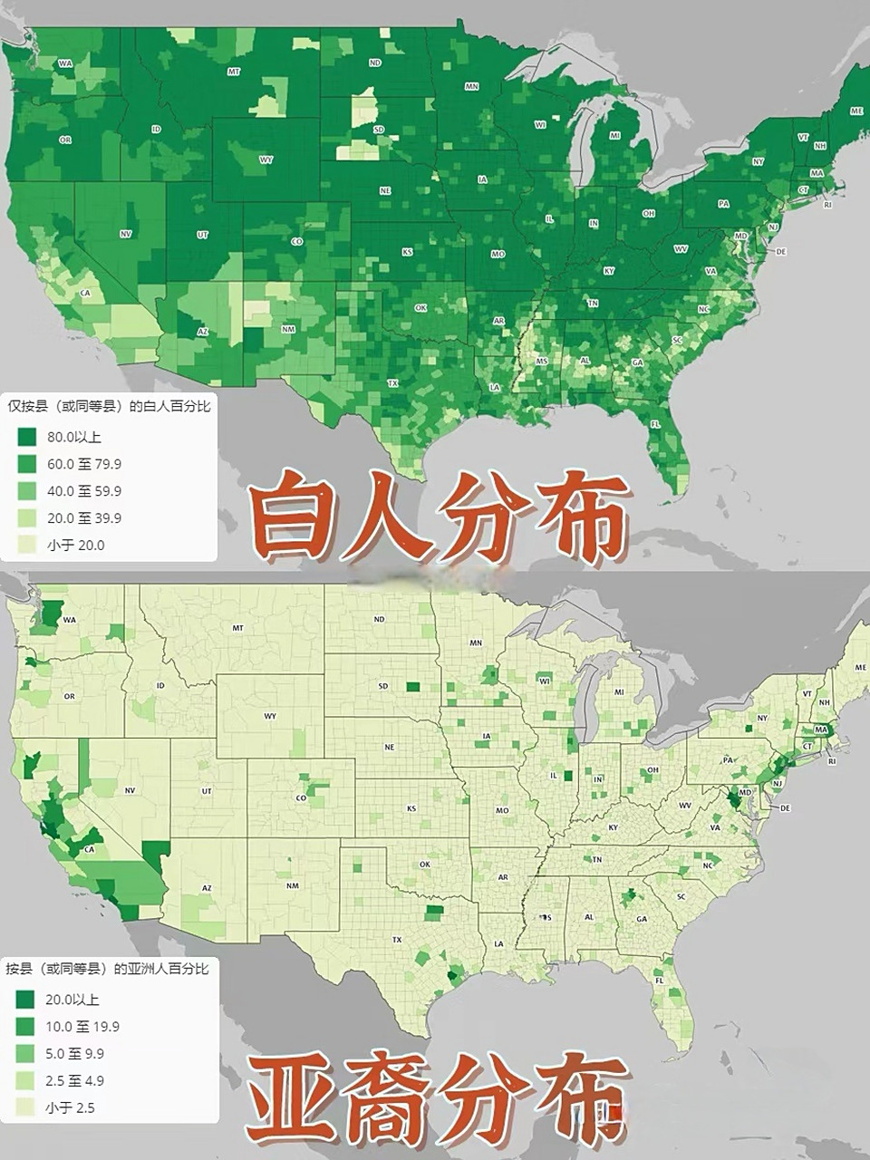 美国人口地图:白人,亚裔,黑人,拉丁