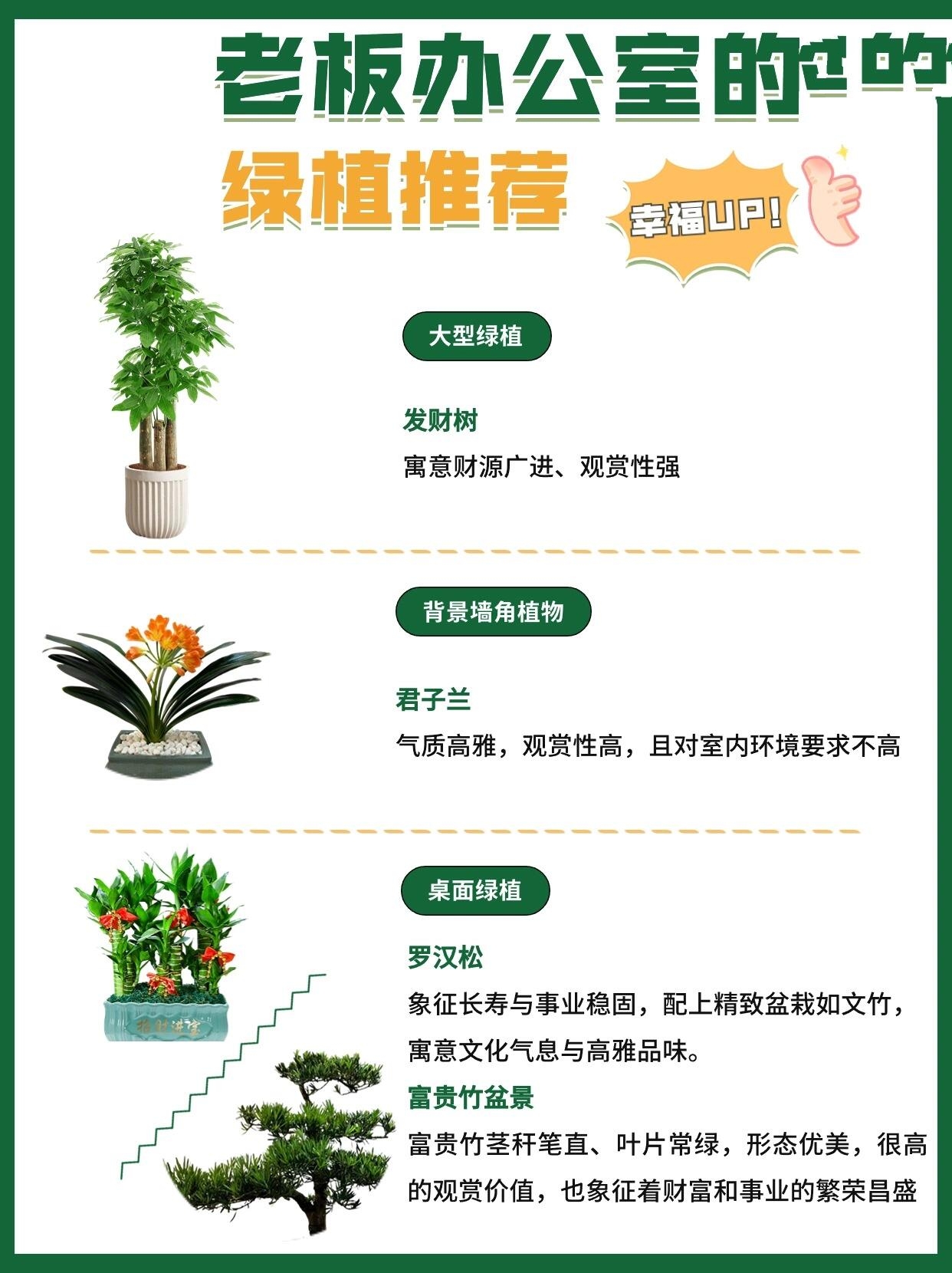 98 老板办公室 94 大型绿植:发财树90 —— 寓意财源广进,观赏