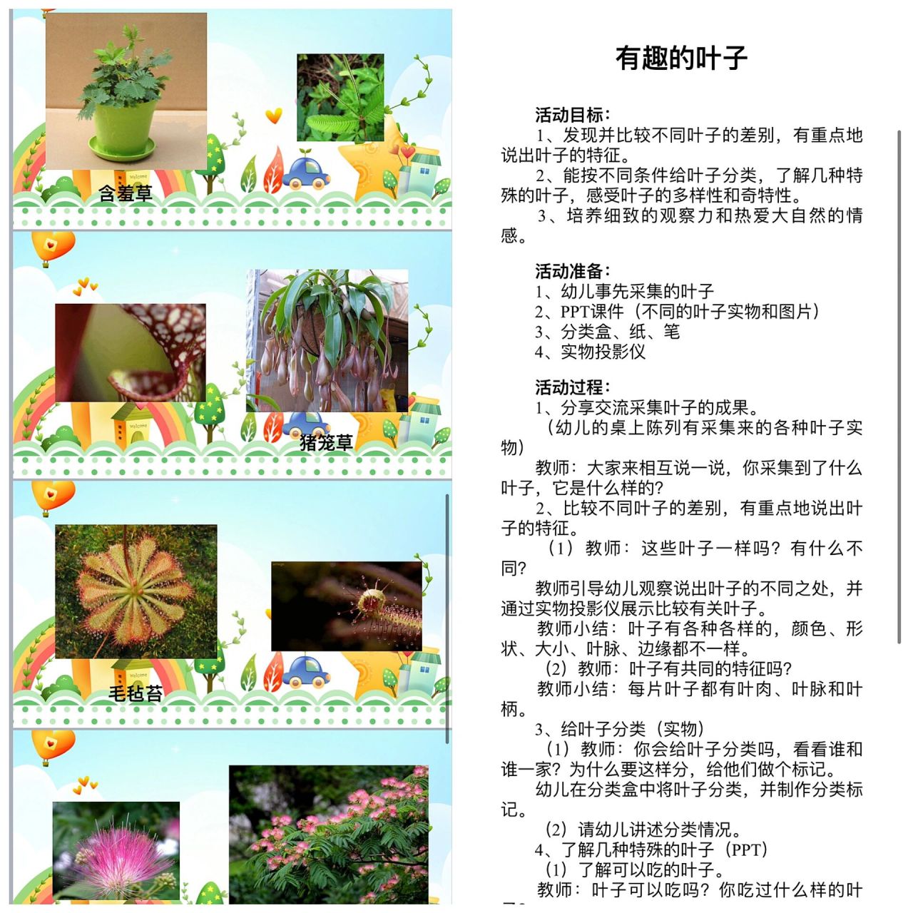 97中班科学《有趣的叶子》教案77ppt 979797活动目标:1