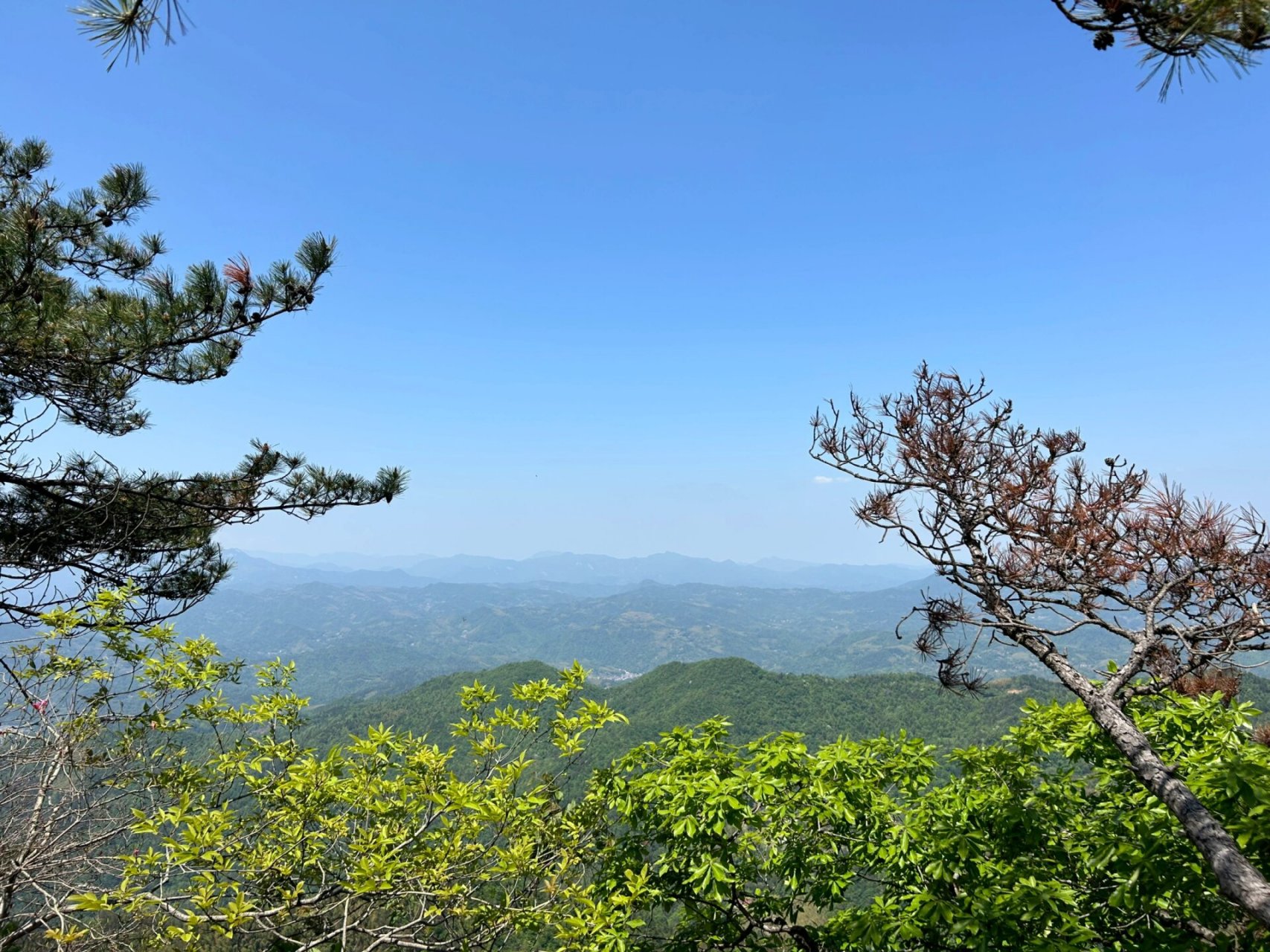 霍山县铜锣寨旅游攻略          99路线规划 直接导航铜锣寨风景区