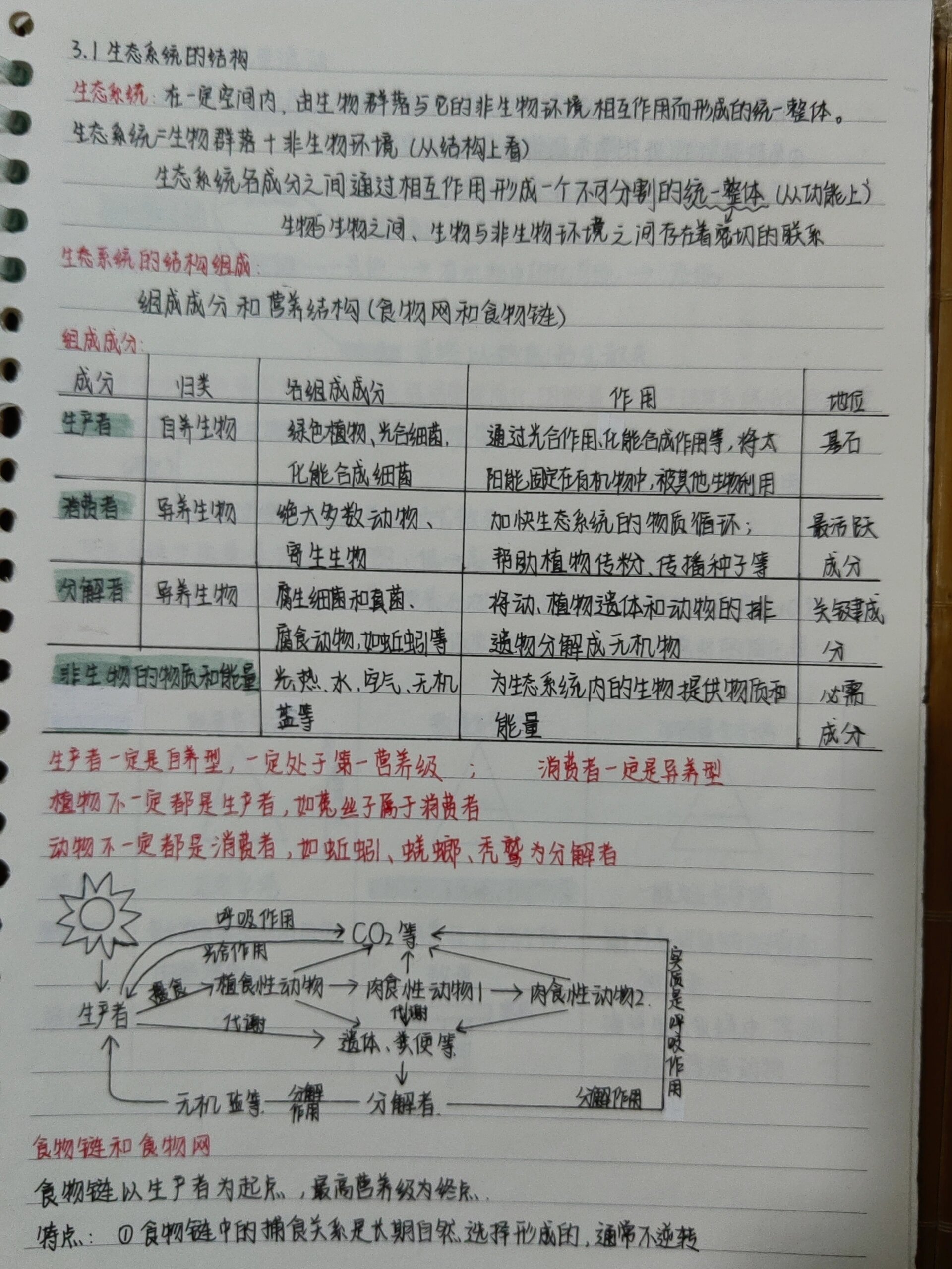 高中生物板报(高中生物手抄报模板简单)  第1张