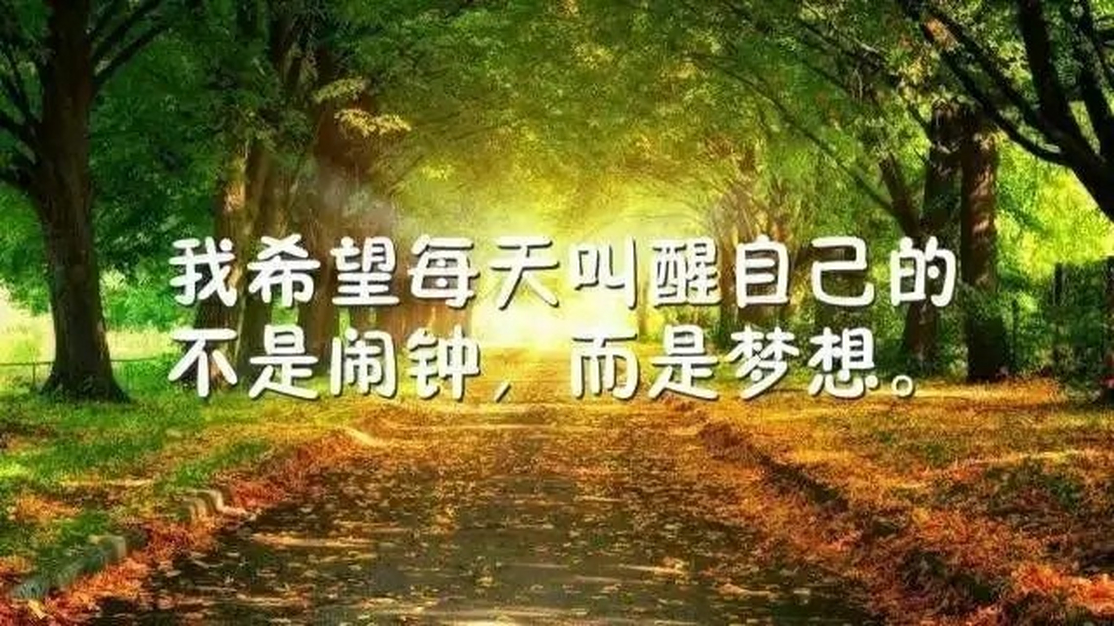 早上很棒的正能量励志短句,充满朝气的早安 1,美好生活要有四度空间
