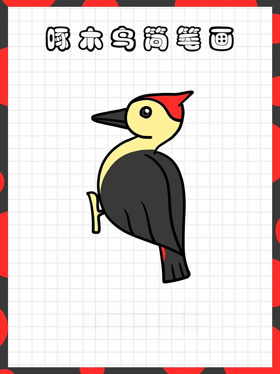 尼尼简笔画|啄木鸟简笔画vol.49 鸟纲鴷形目啄木鸟科鸟类的通称.