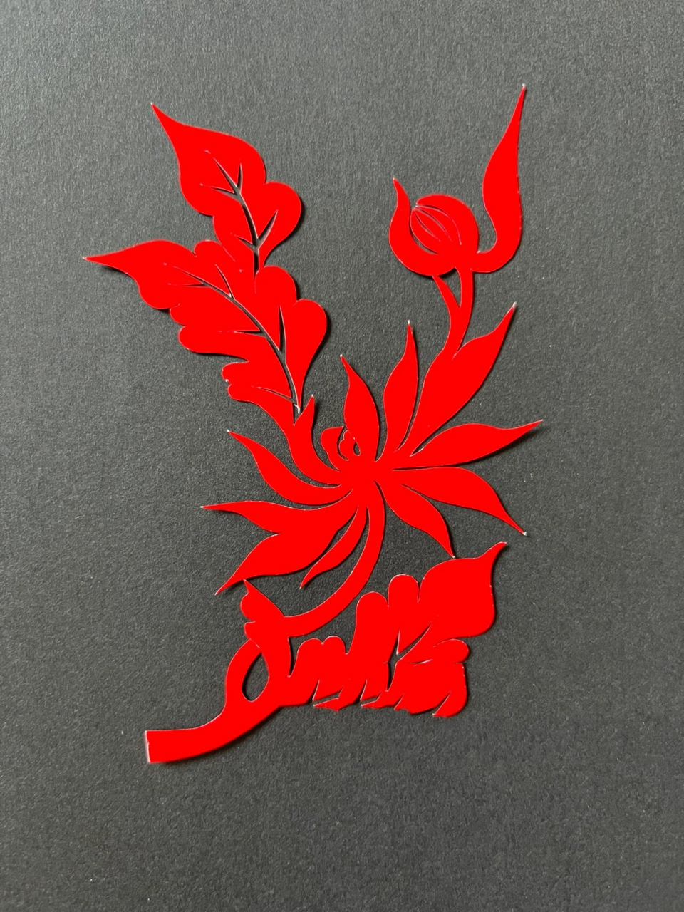 每日一剪(脱稿剪纸绝技)—菊花1 菊花品种繁多,脱稿剪菊花变化复杂