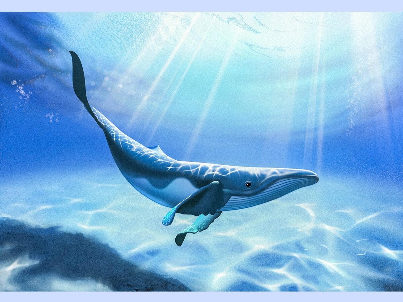 🐋鲸鱼素材的插画真的张张都很绝啊,这组是👉摄图网里找的.