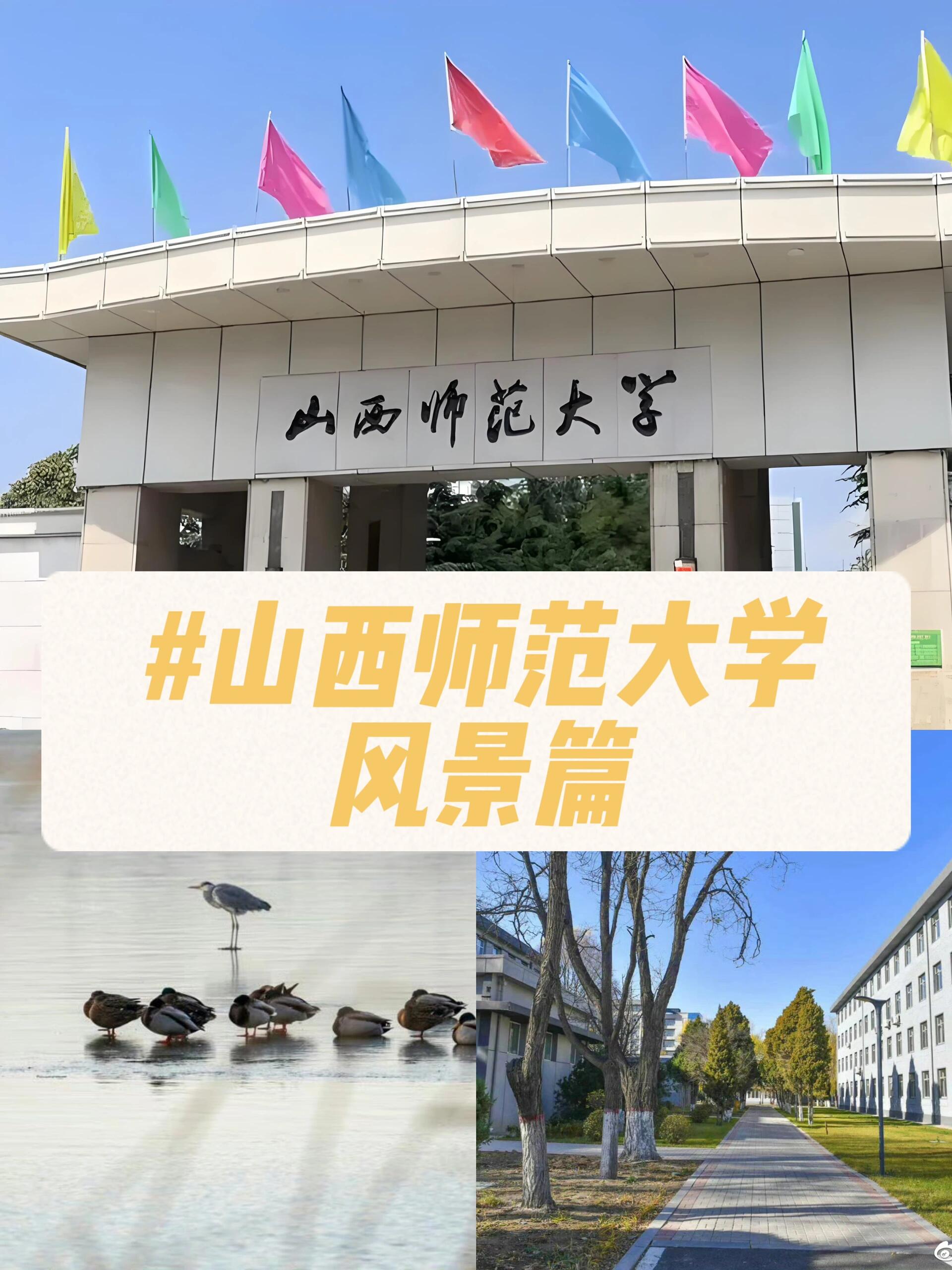 山西师范大学,一所历史悠久的学府,始建于1958年,是国家重点支持的中