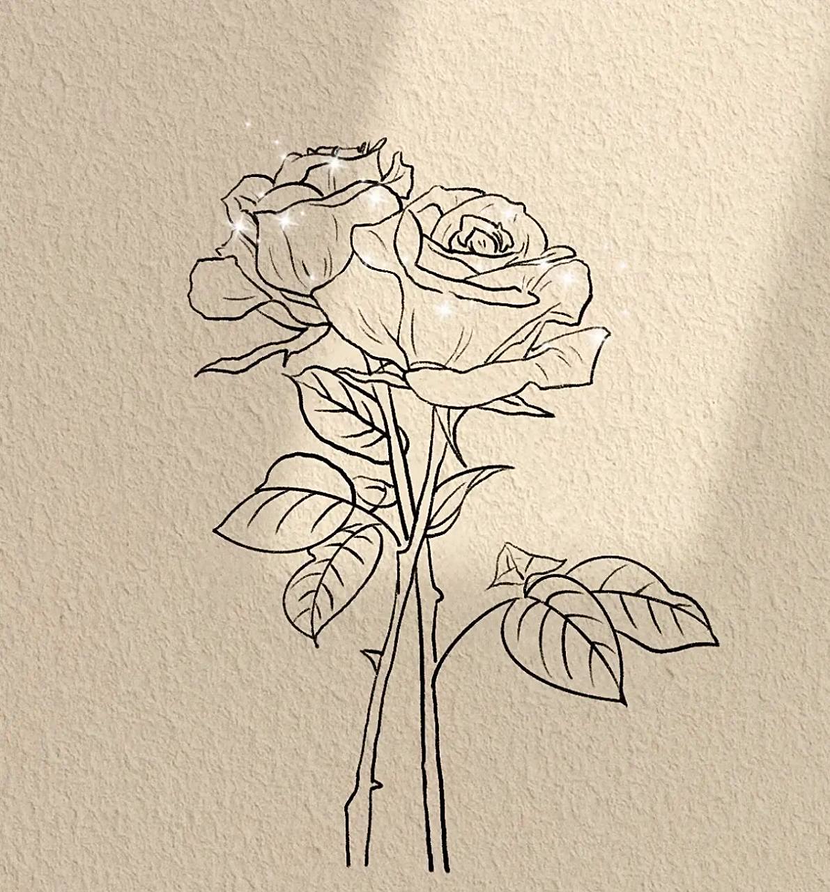 99零基础学画画|玫瑰步骤图