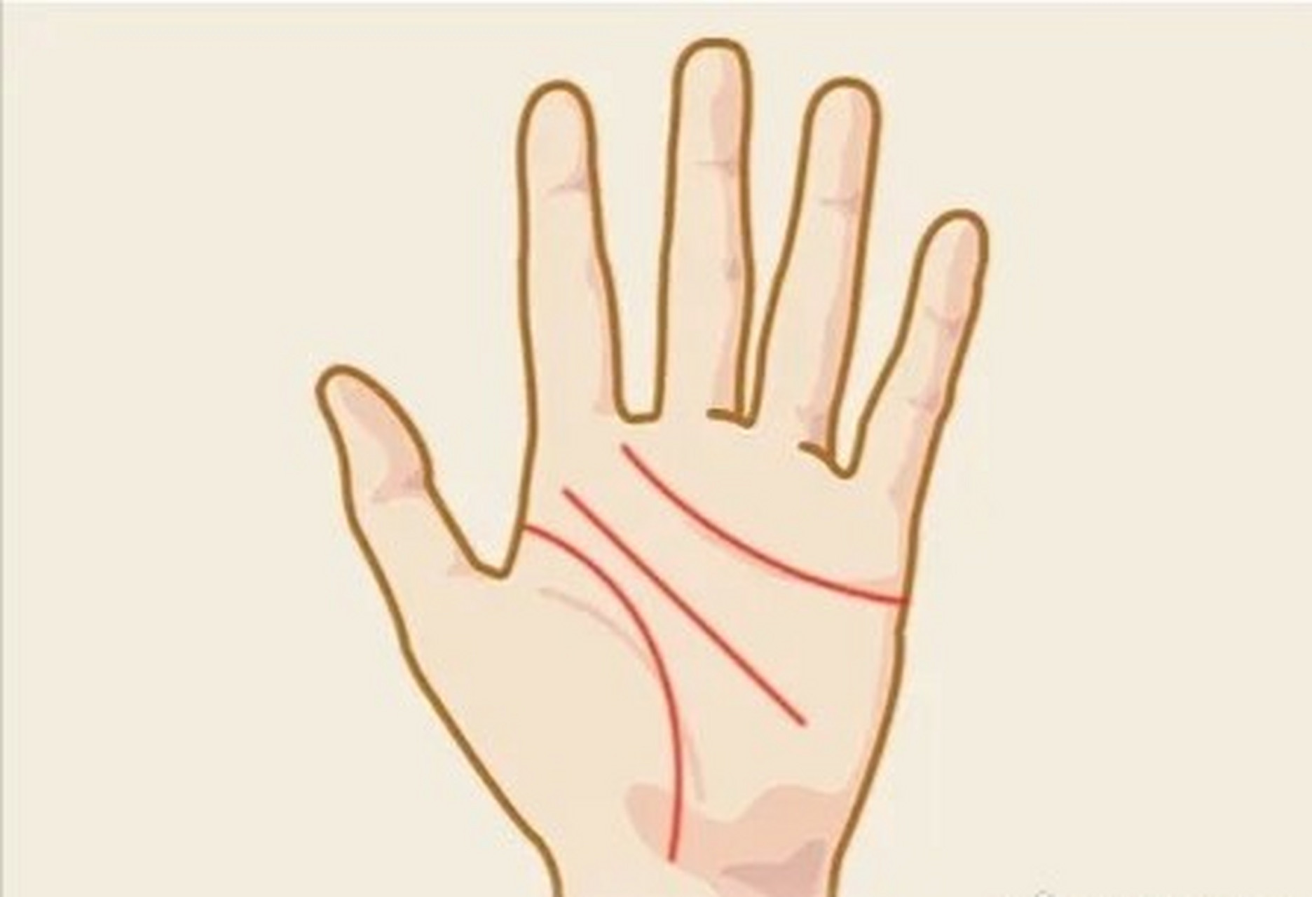 女生川字掌的含义 川字掌,生命线和智慧线起端分开的掌纹 川字掌的人