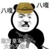 表情包之太君系列