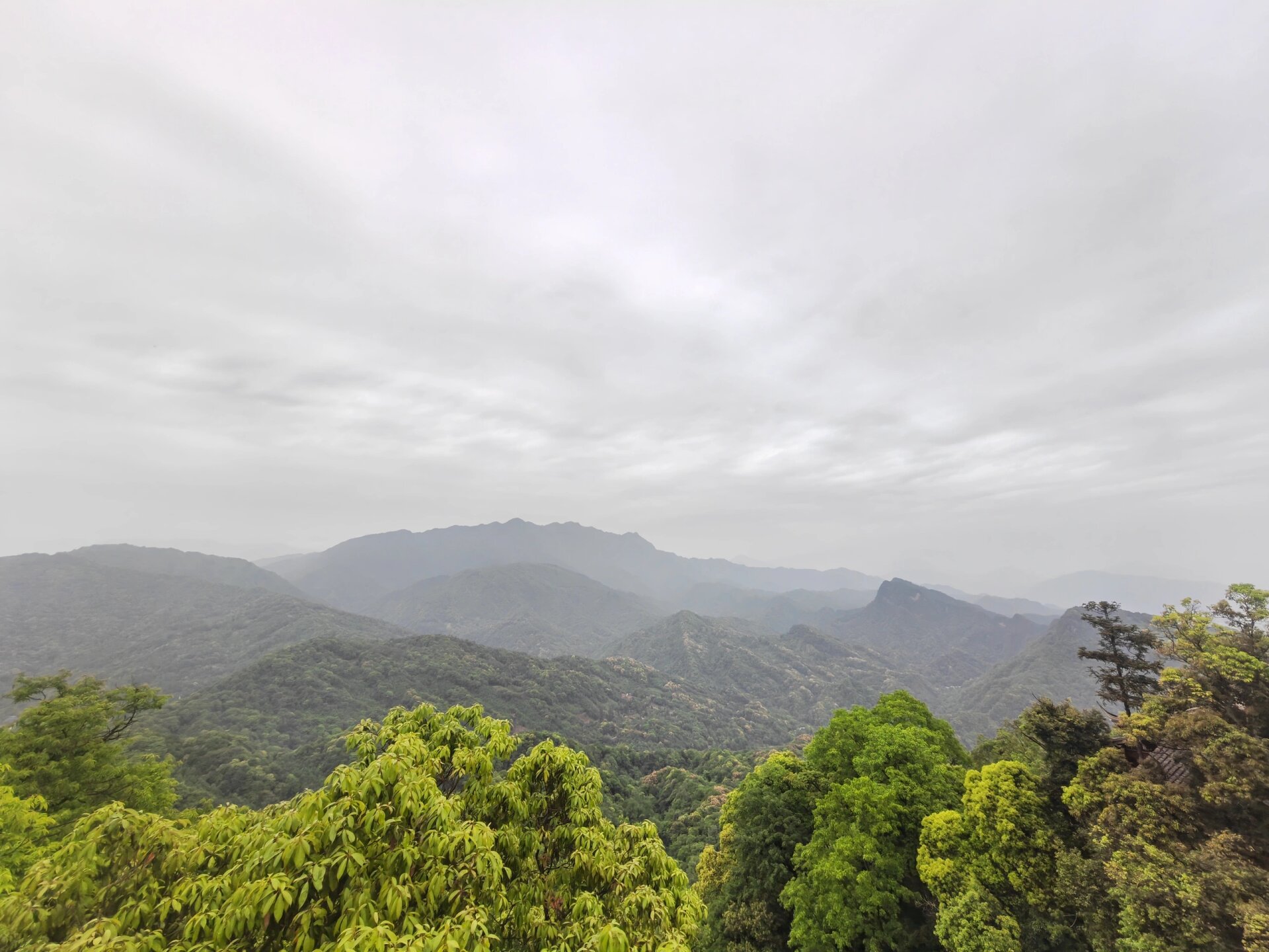 青城山前山休闲自驾攻略