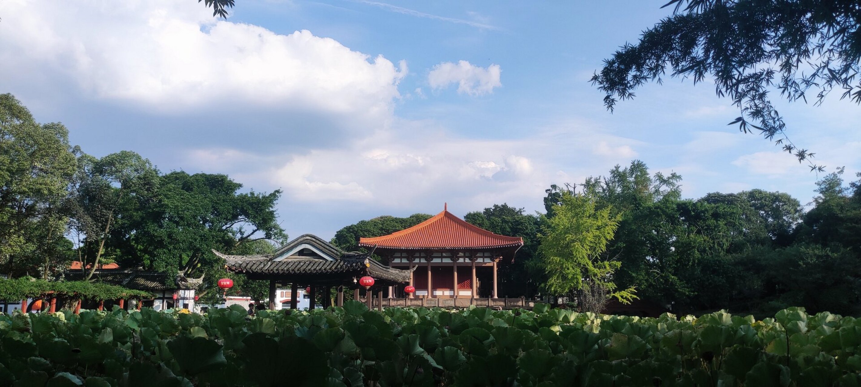 成都小众景点望丛祠 地点:郫都区望丛中路 交通:6号线的望丛祠站(终点