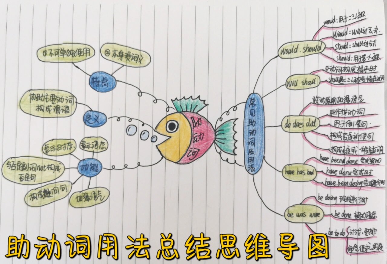 助动词用法总结思维导图07