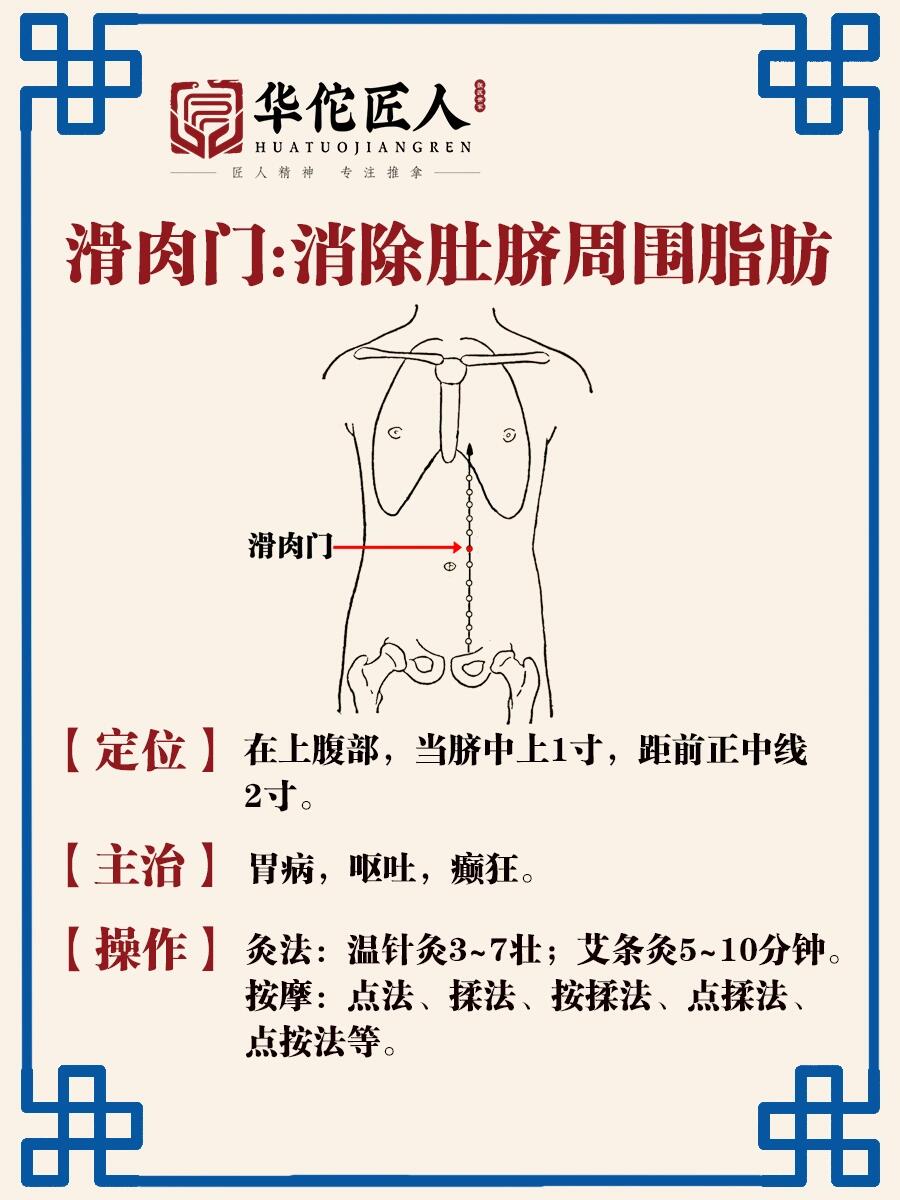 "每日一穴:滑肉门!打败小肚腩!