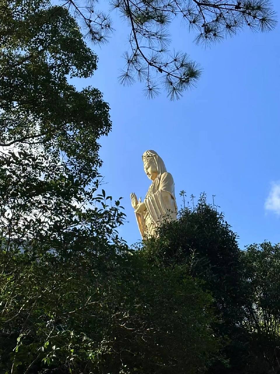 普陀山求财攻略 推荐几个求财必去的地方 善财洞,普陀山求财必去之处