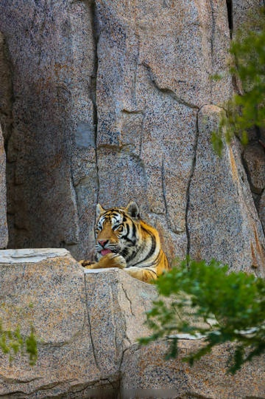 玩转烟台# 【山东烟台】  94初秋季节,徜徉龙口动植物园去邂逅"萌