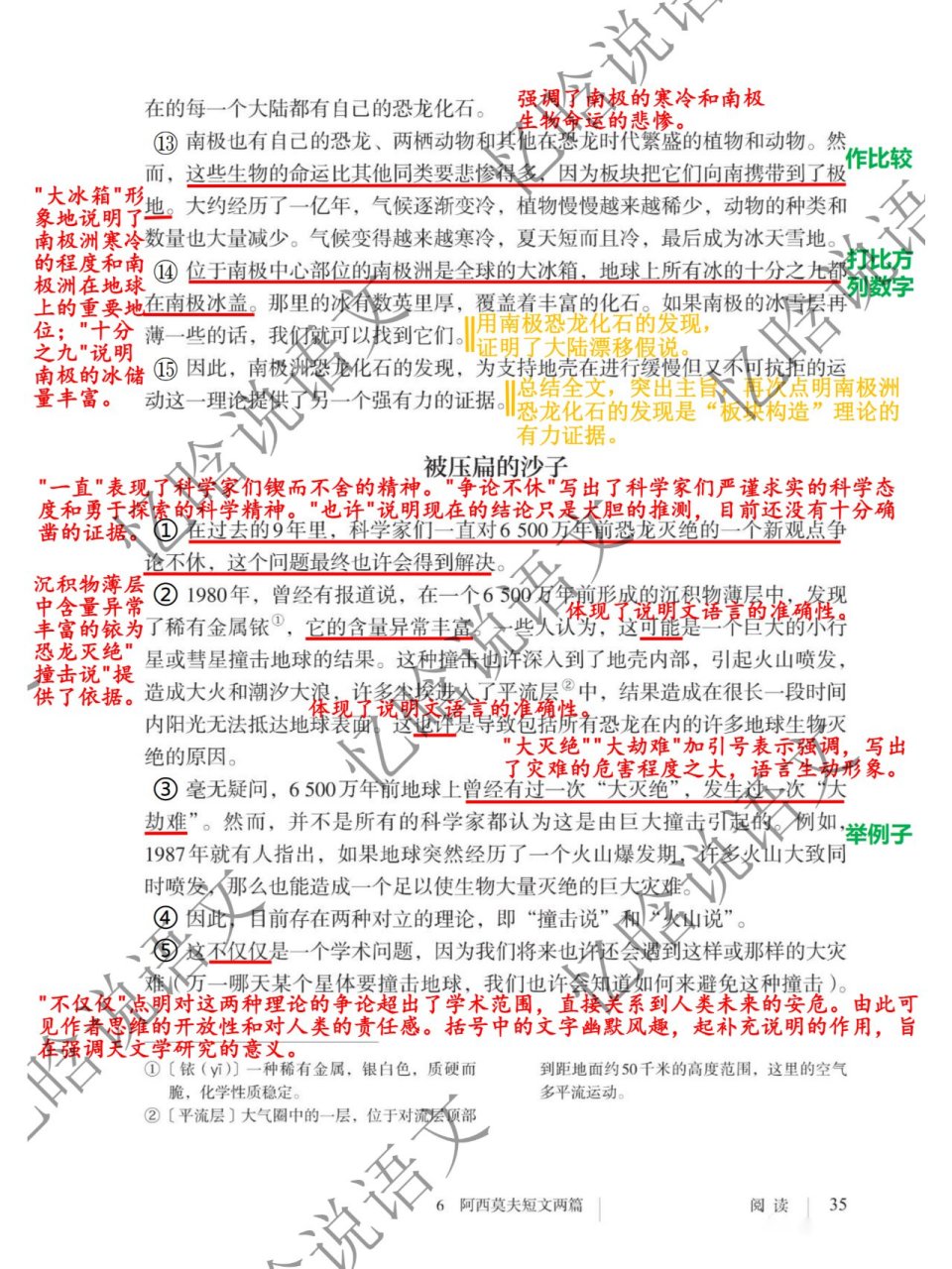 恐龙无处不在笔记图片