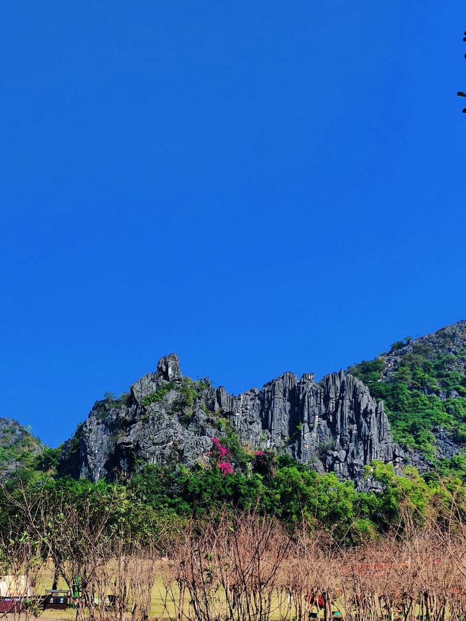 阳春市春湾石林风景区图片