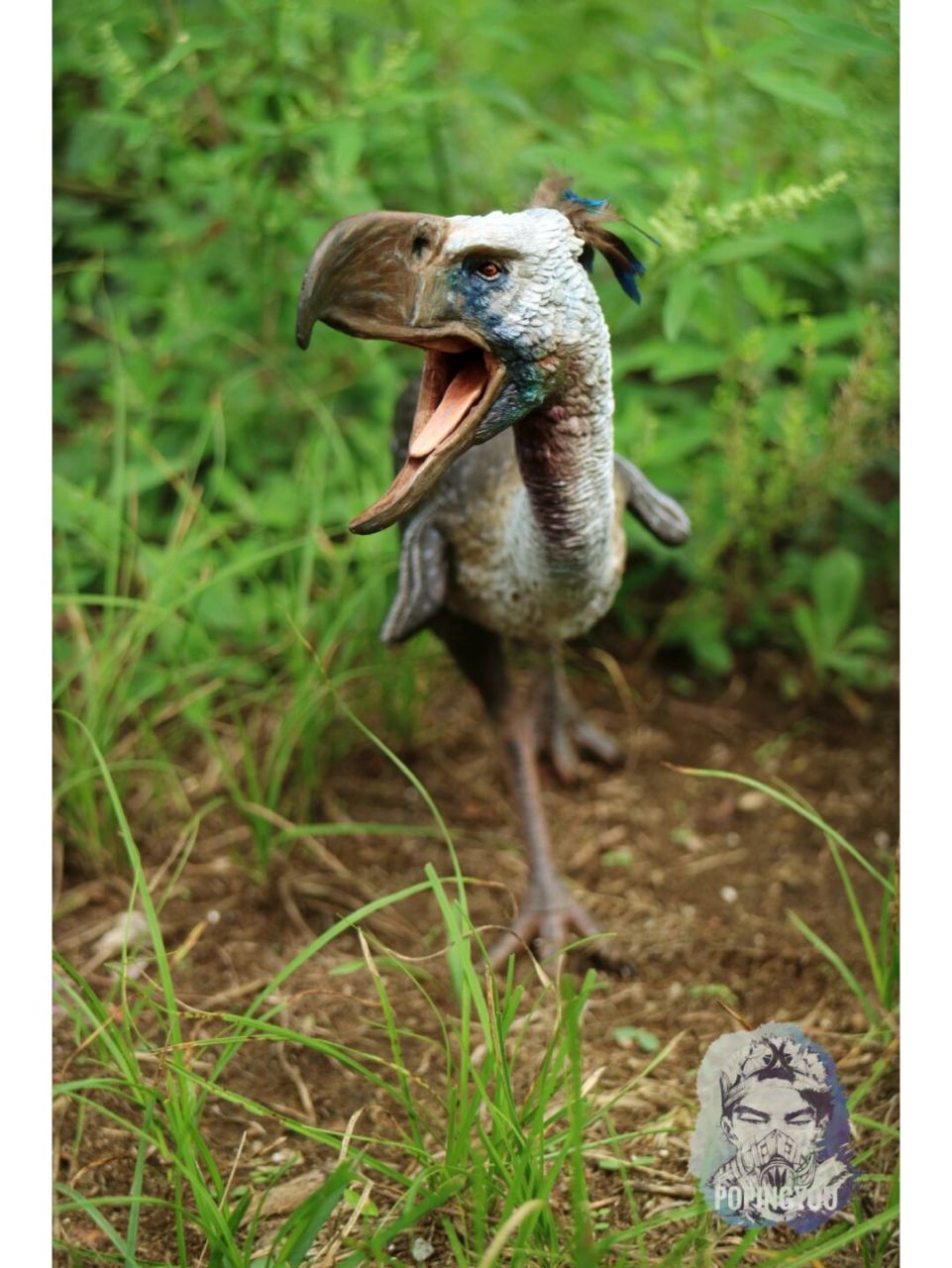 图上这只骇鸟是我2017年八月