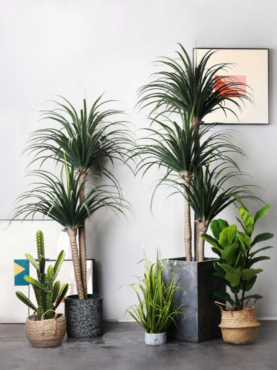 办公室绿植你放对了吗 办公室一般都是比较注重环境的,除了干净整洁