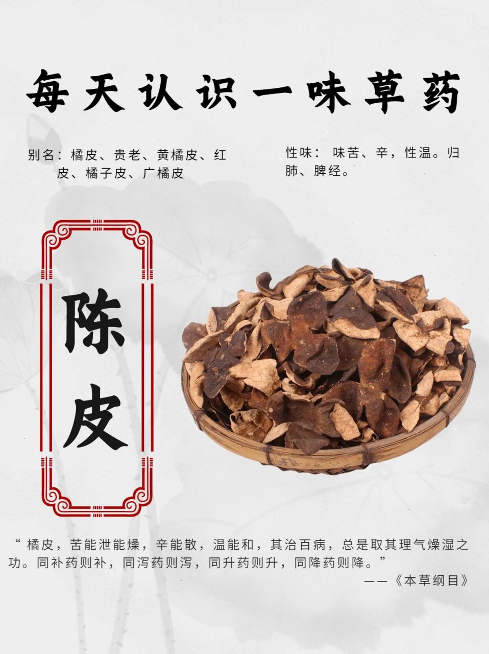 广陈皮性味图片