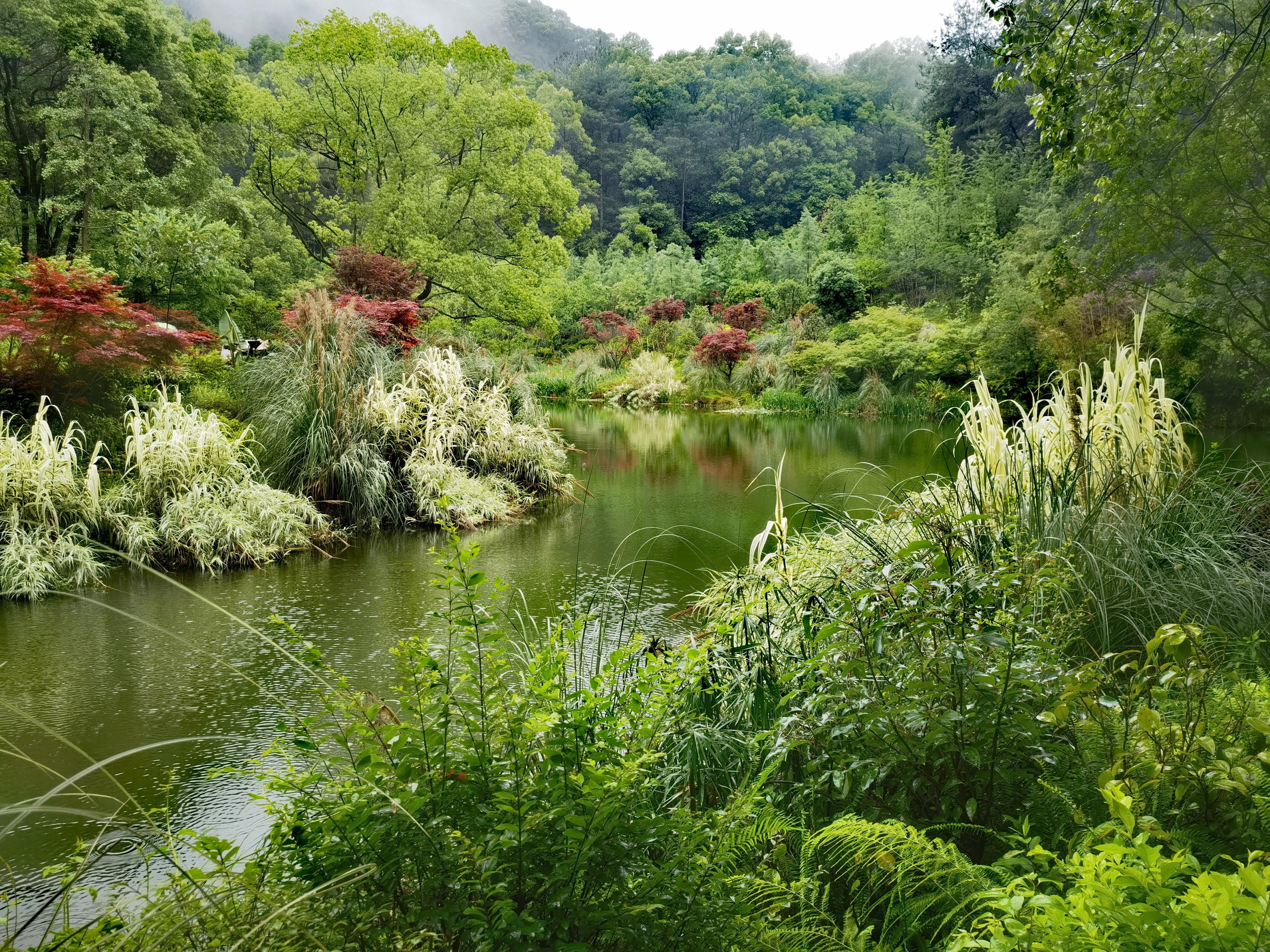 陆先荣 的想法: 【黛湖】 | 【黛湖】"黛湖"位于重庆北碚缙云山麓