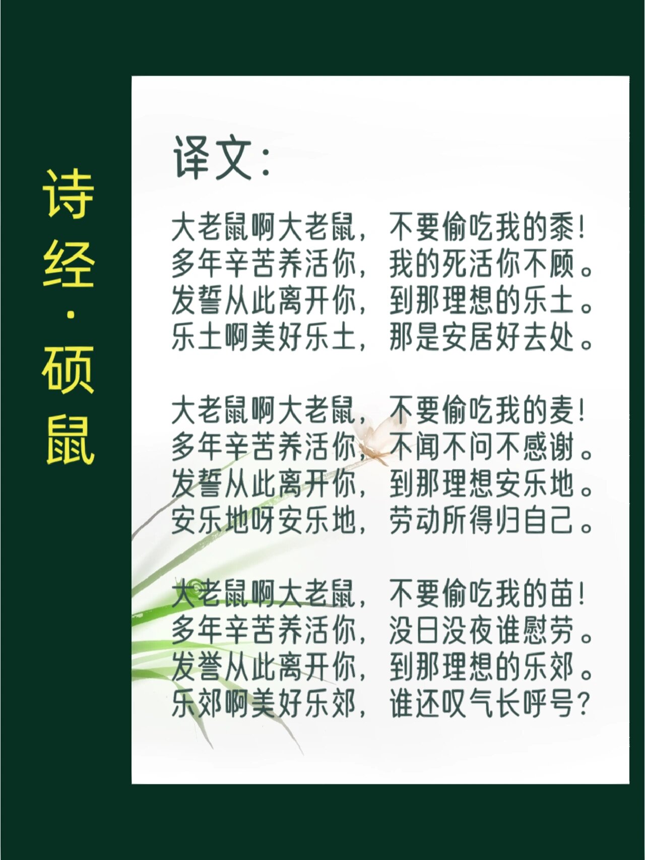 邀你一起读《诗经》d50天《诗经·硕鼠》