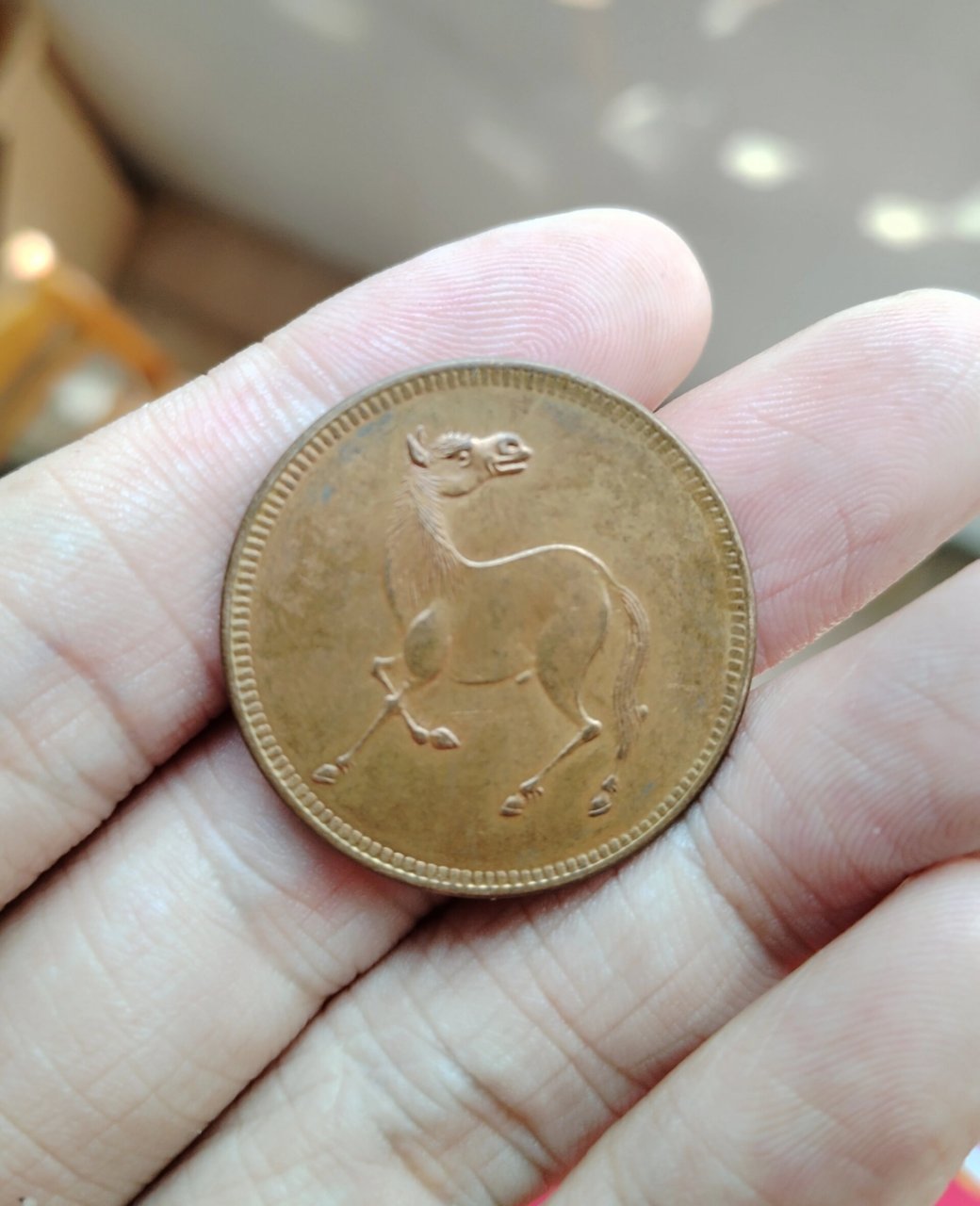 马兰币,回首马背蟹爪兰 请告知现在什么价格收?