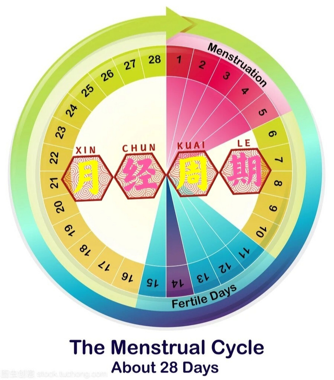 简单描述月经周期对应子宫变化 月经如"月之盈亏",呈周期性,月经周期