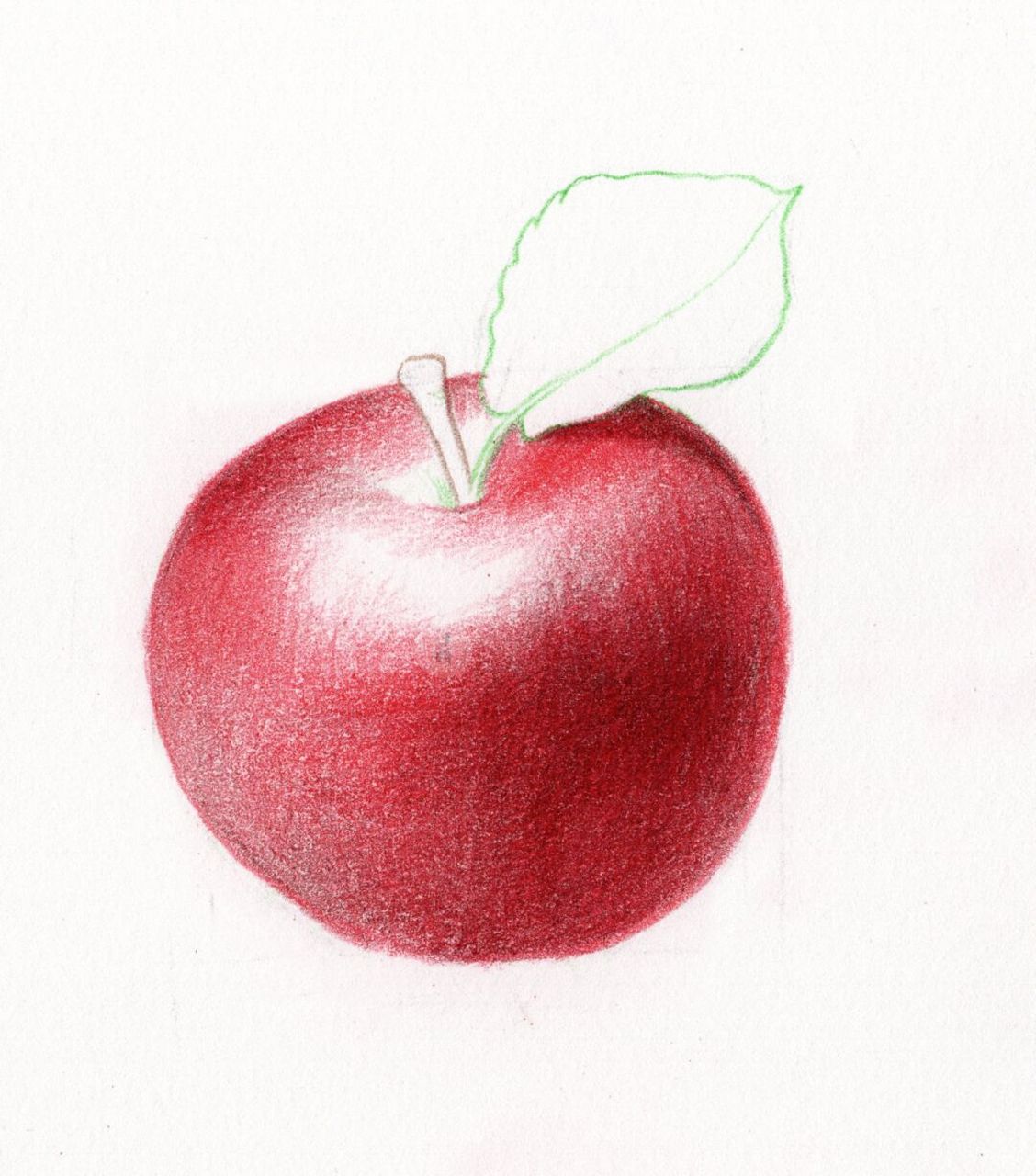 自学彩铅画·写实苹果的画法 11566铅笔画出苹果的轮廓,擦浅以后
