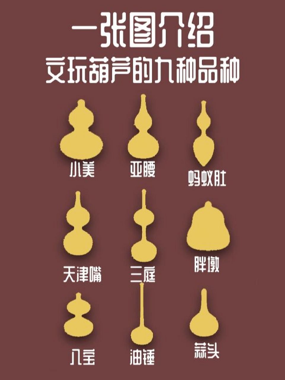 家风才会富" 在人们的观念中,葫芦给人们带来福禄 小美/天津嘴/八宝