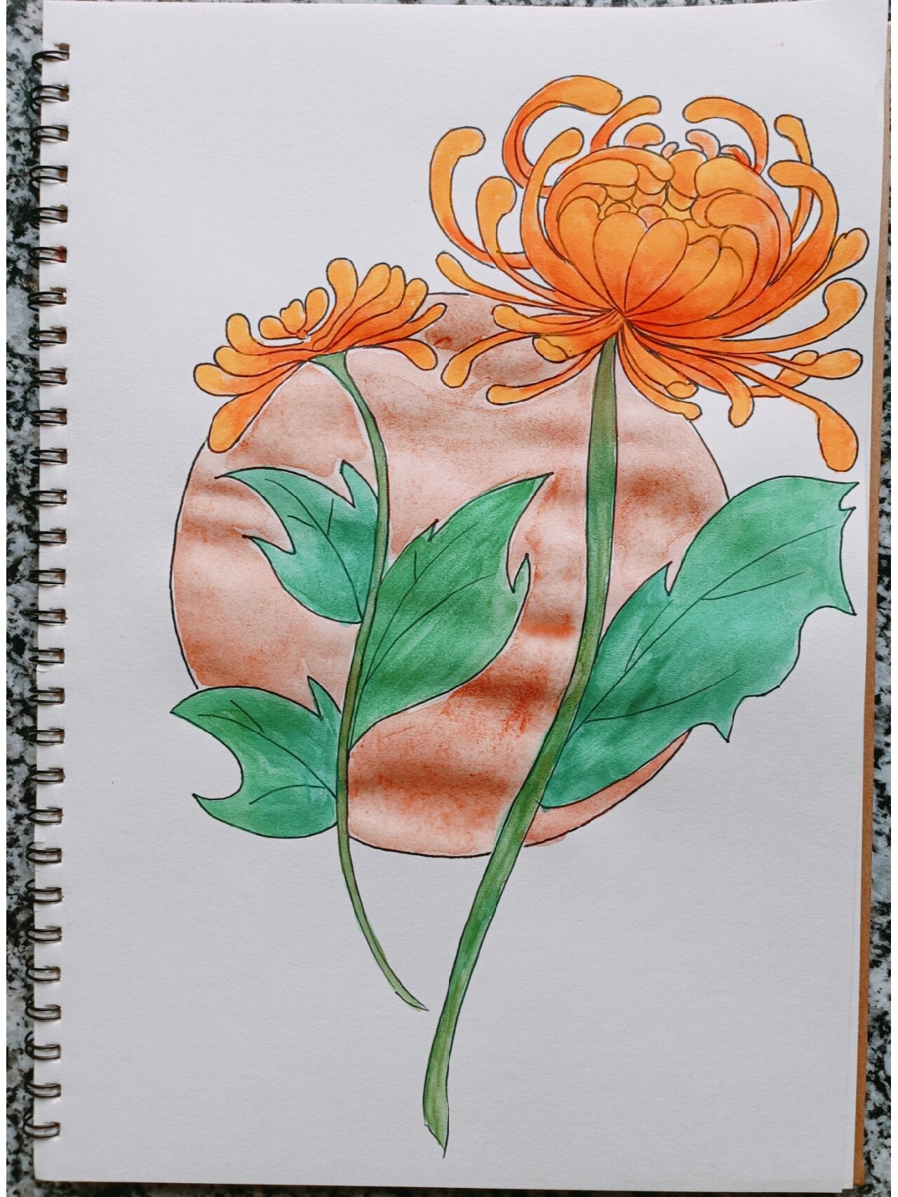 重阳到菊花黄,水彩菊花简笔画