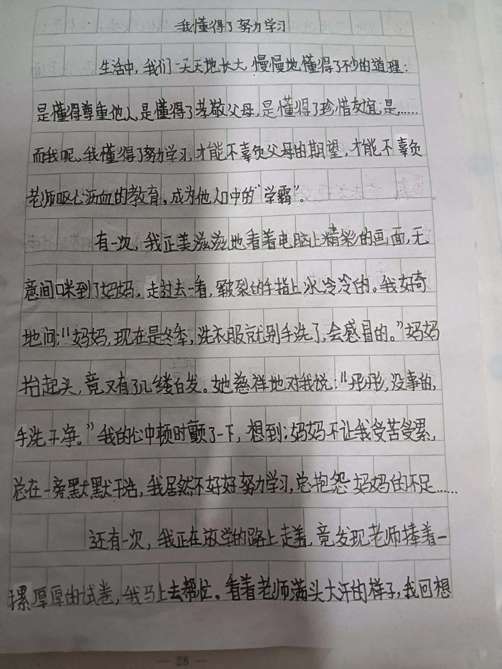 我懂得了努力学习 500字作文 这篇作文是作者自己写的,可以借鉴