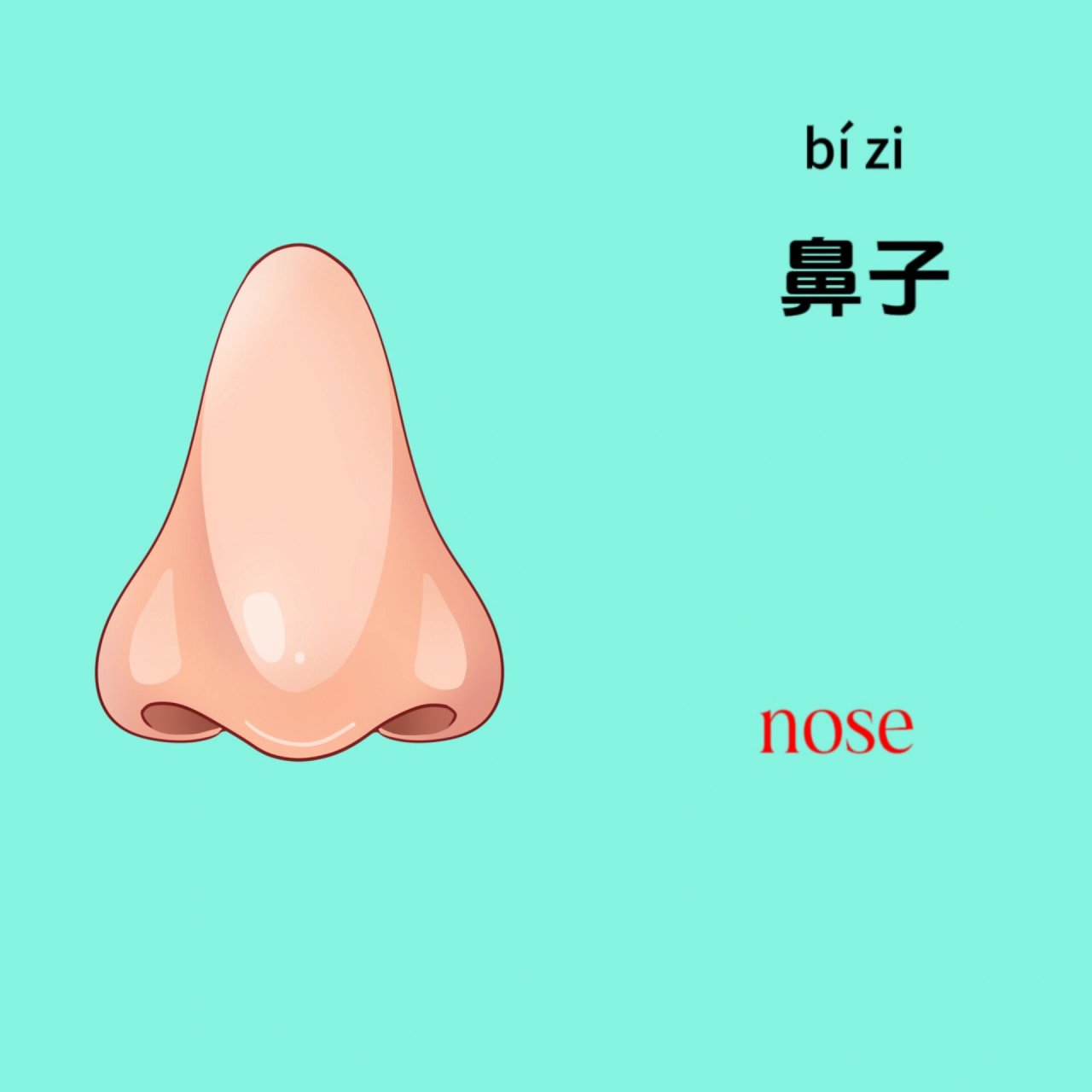 幼儿识图/认识五官/高清图片可打印 早教识图认识五官,图片分享,可