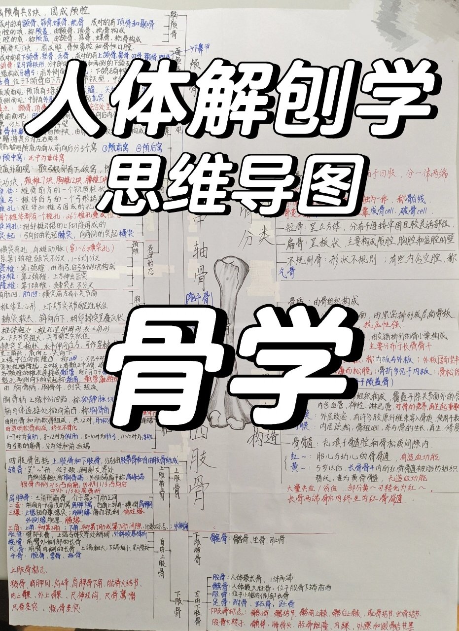 骨学的知识框架图图片