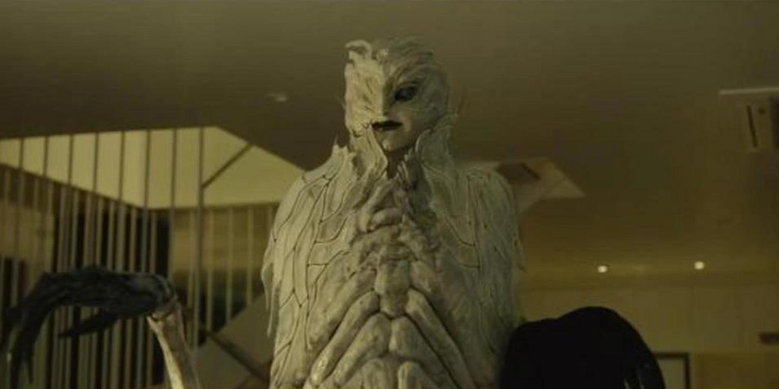 怎么就没人喜欢阿玛呢 感觉喜欢《死亡笔记》的人很多,但没什么人注意