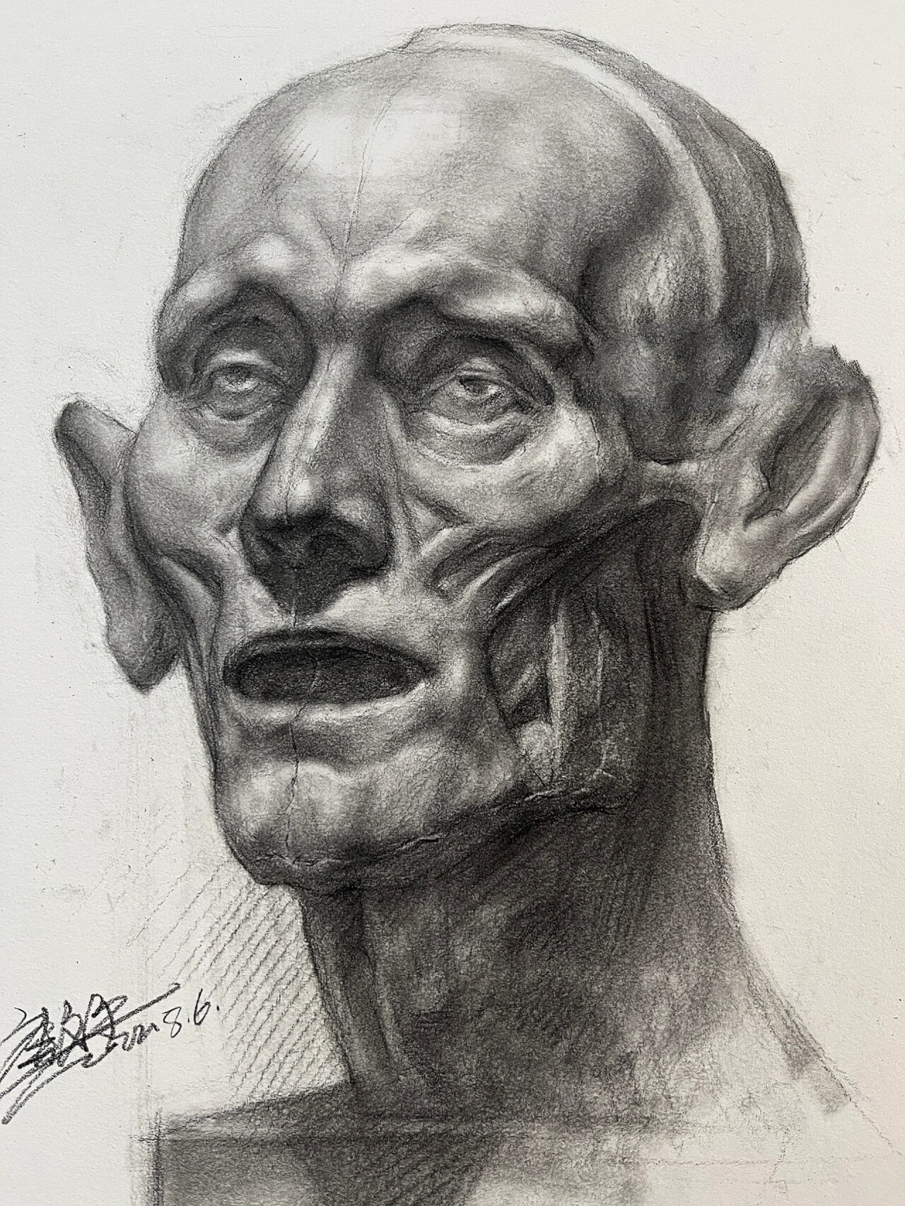 肌肉解刨素描头像分享