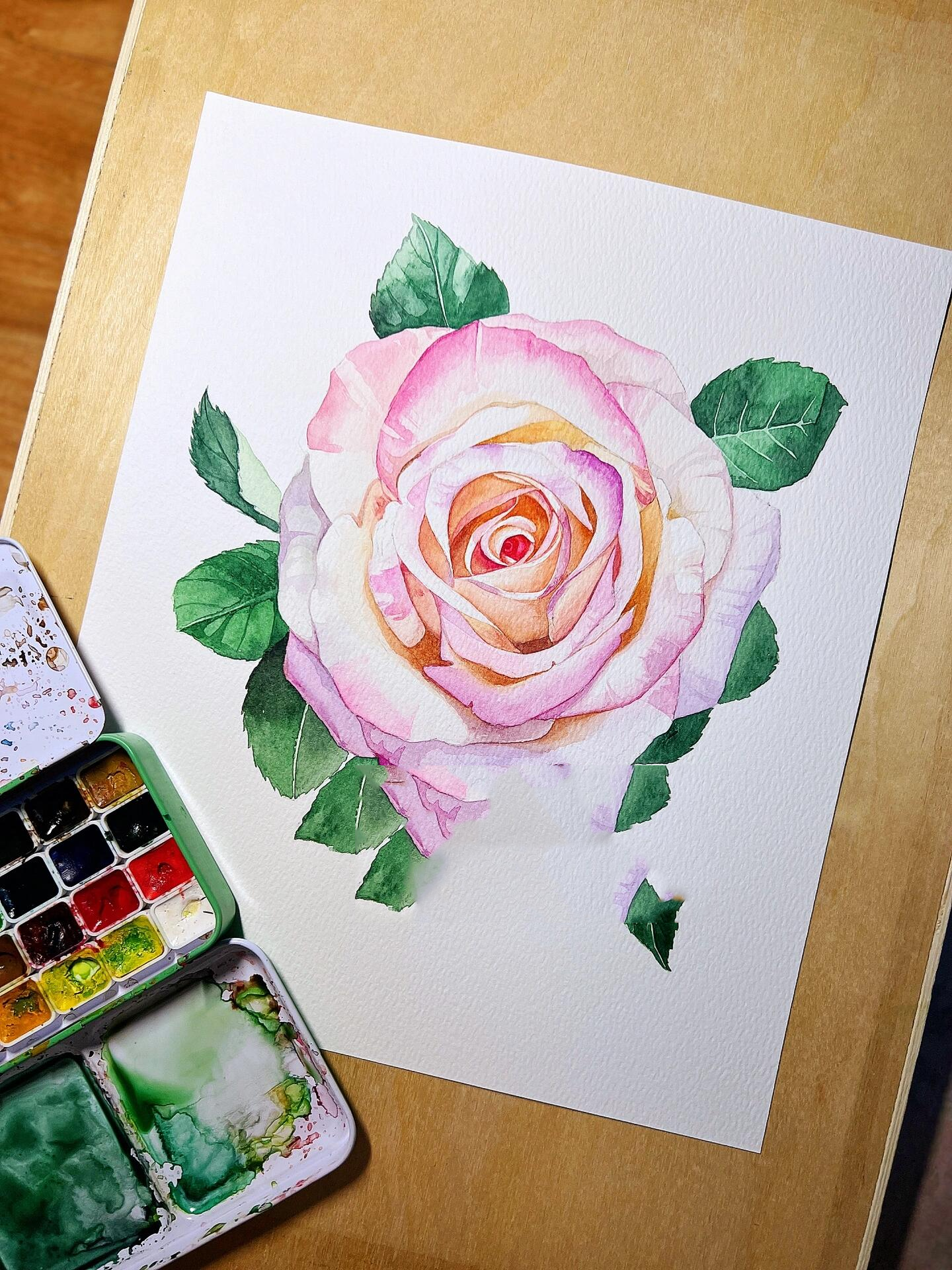 水彩花卉写生练习·霓裳玫瑰