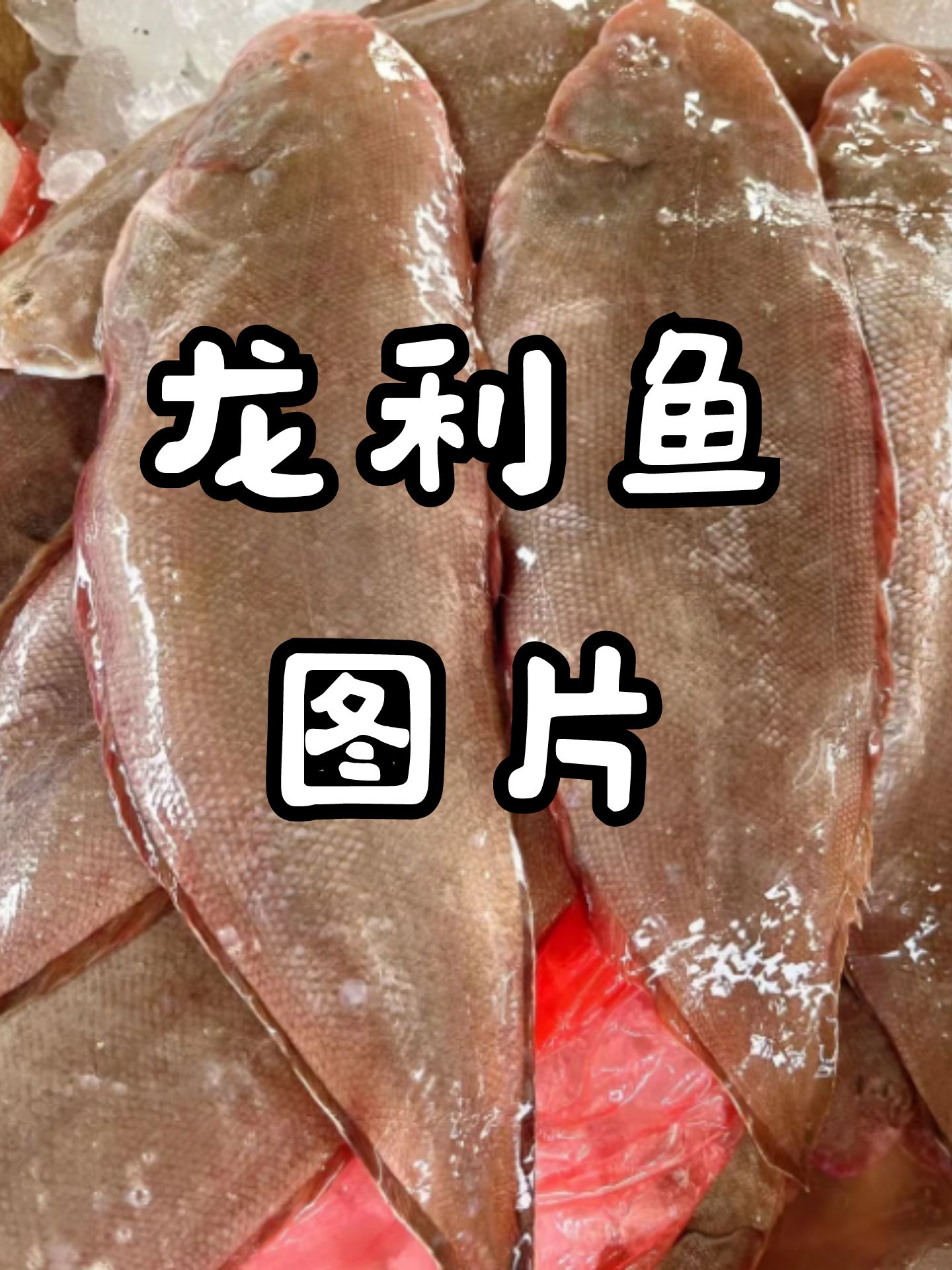 龙利鱼图片