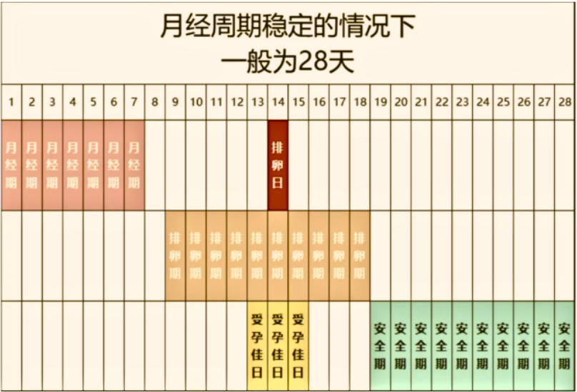 为什么排卵期同房没怀上